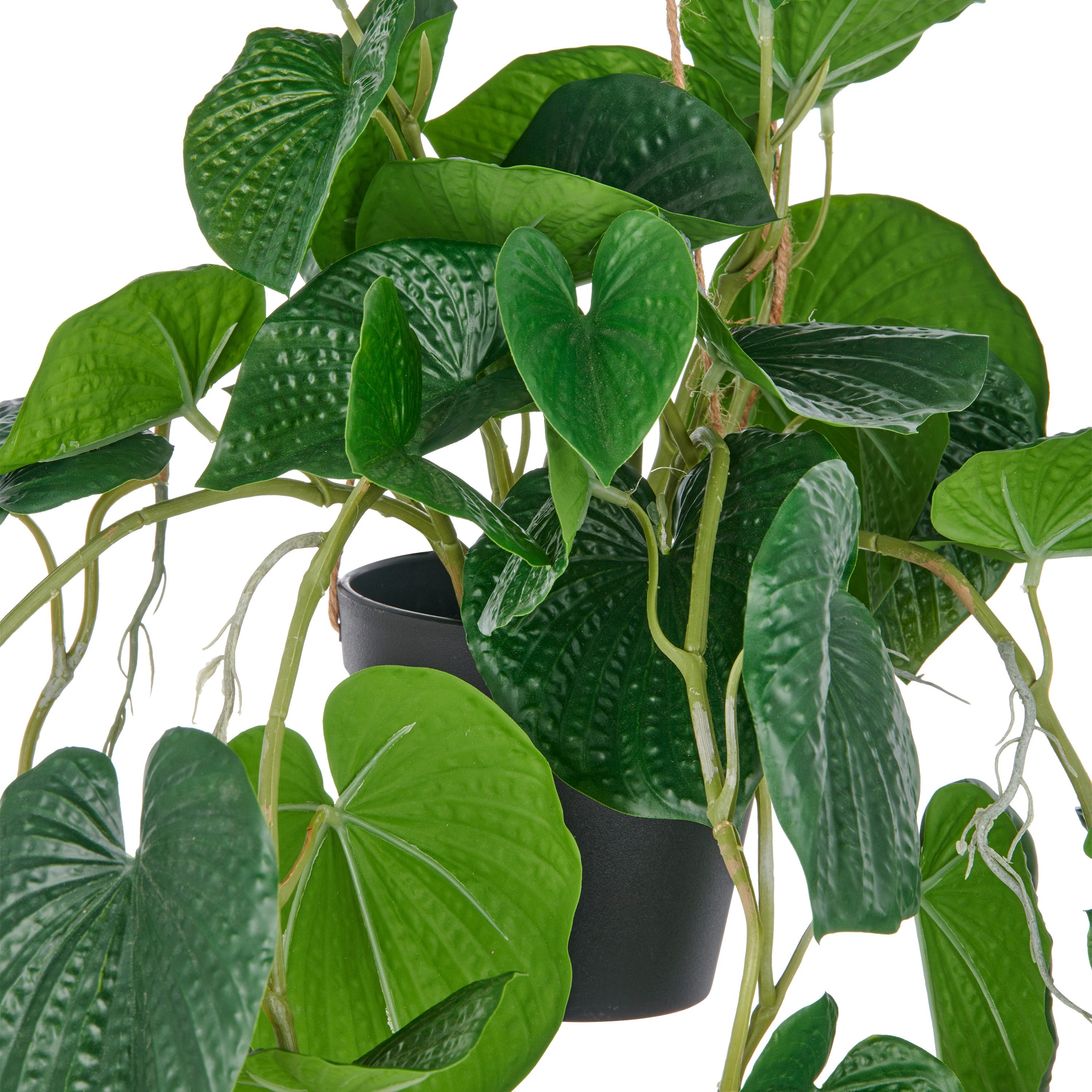 Kunstpflanze Hängende Peperomia caperata, Creativ green, Höhe 70 cm, mit üppigen Ranken – Bild 2 von 2
