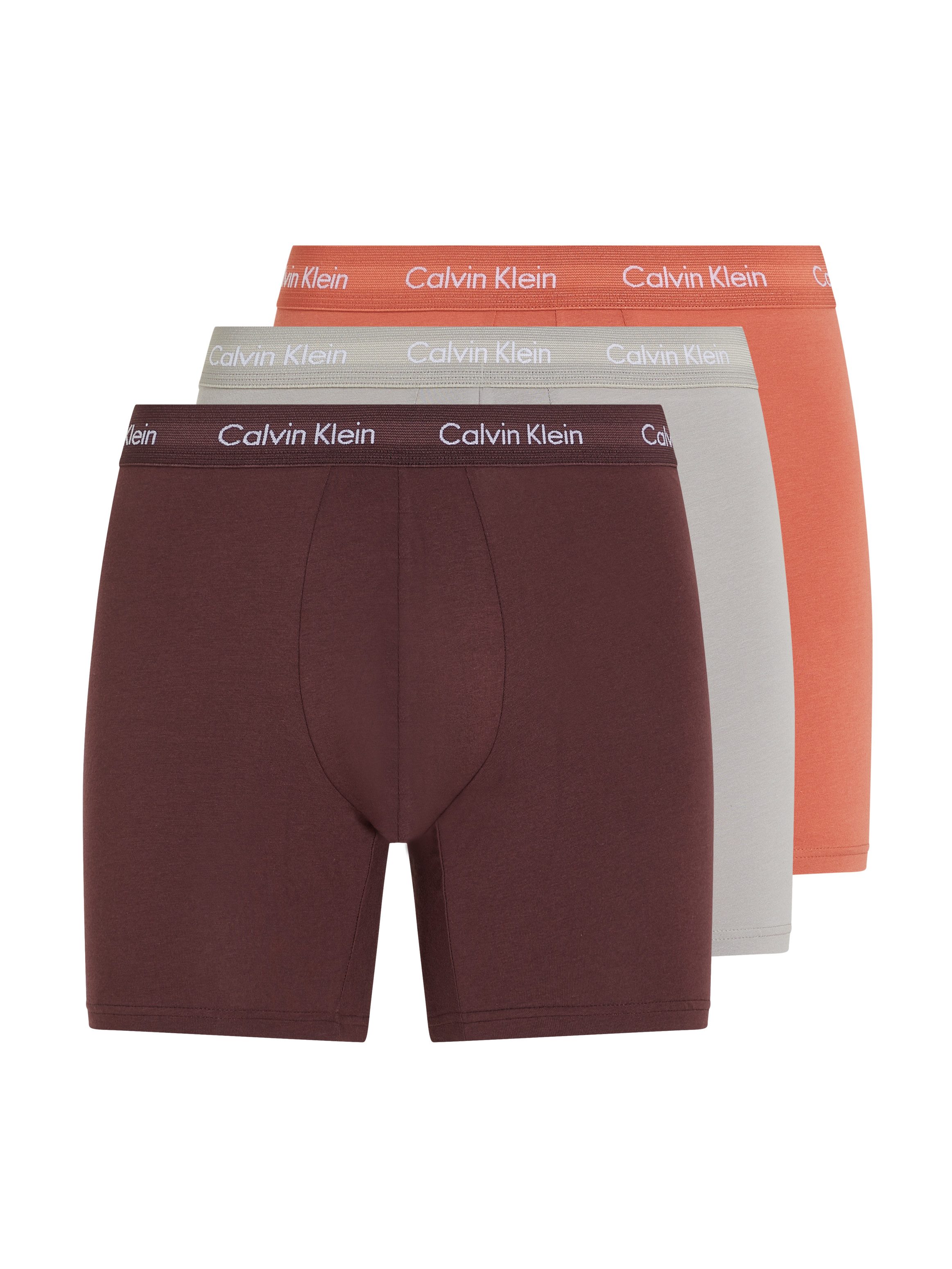Calvin Klein Underwear Boxer BRIEF 3 PACK (3-St) mit längerem Bein