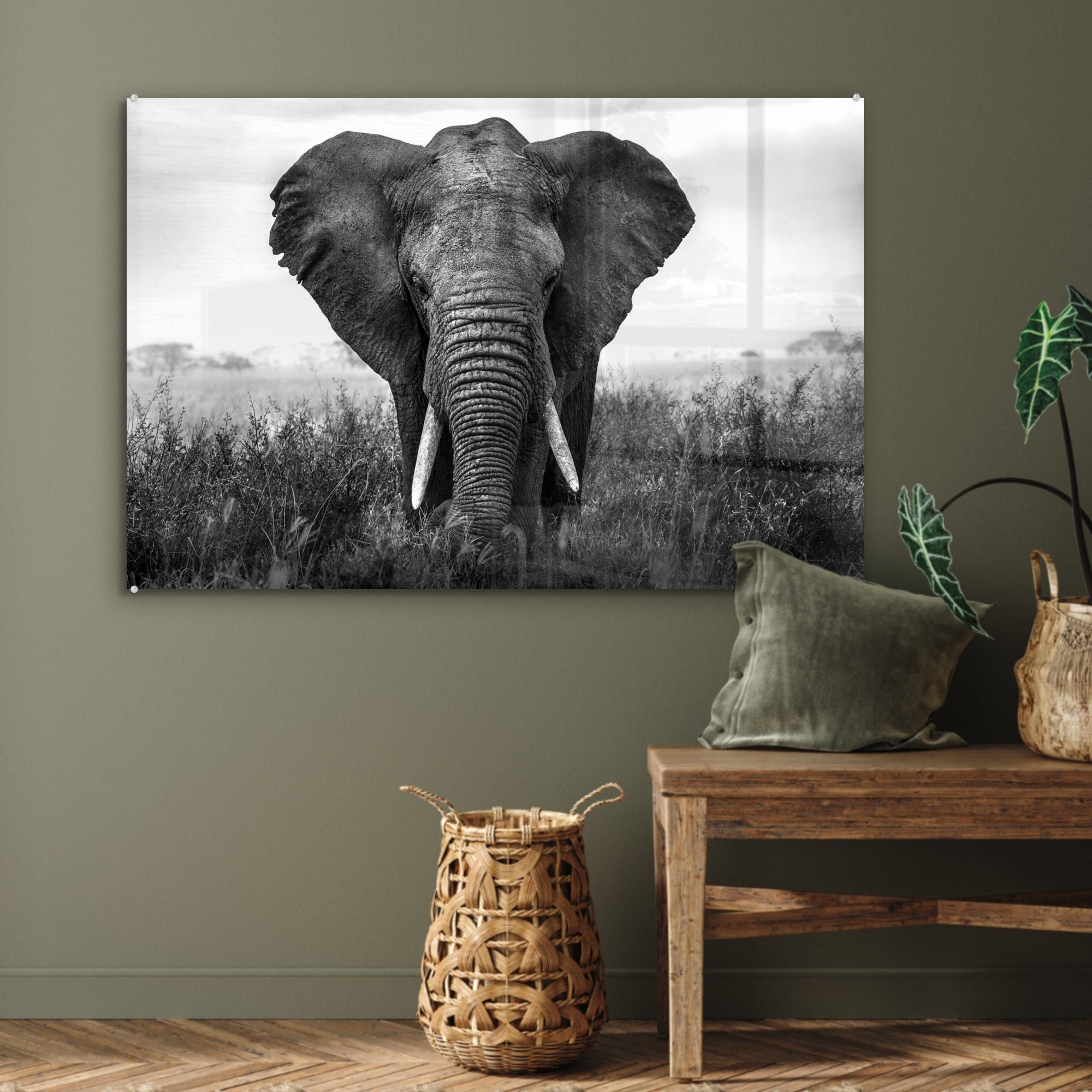 Acrylglasbilder und, Elefant Acrylglasbild (1 - schwarz im Wohnzimmer MuchoWow Gras Schlafzimmer St), & Serengeti-Nationalpark Afrikanischer im