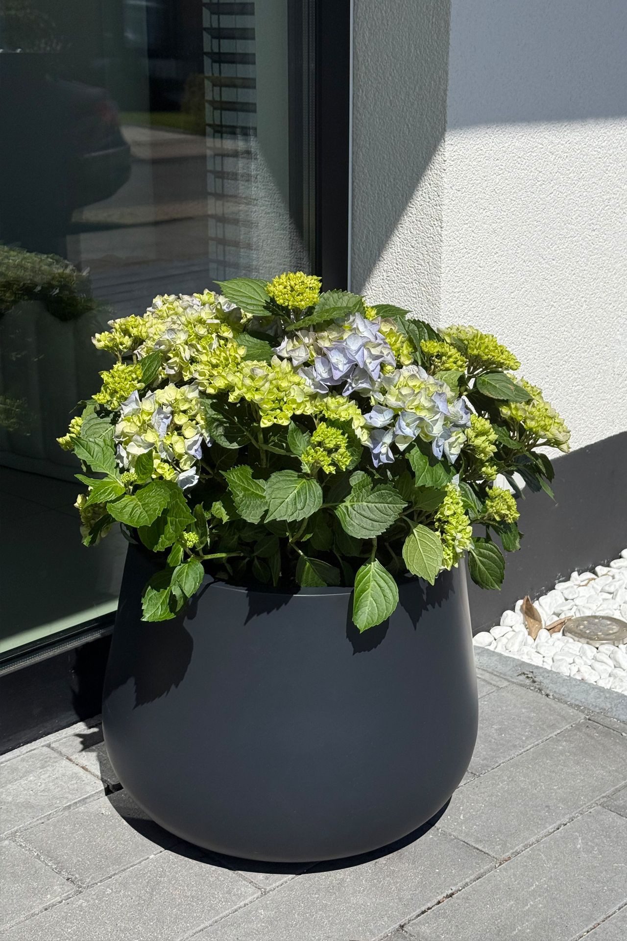 VIVANNO Blumentopf Fiberglas GIRAR Rund - günstig online kaufen