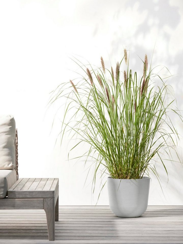 Thumbnail - ECOPOTS Blumentopf Oslo 25 + Wassersystem Weißgrau, für innen und außen: frostsicher, bruchsicher und lichtbeständig