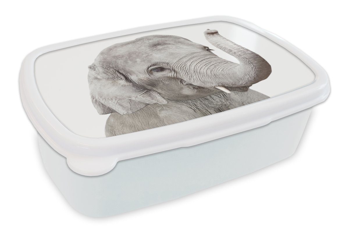 MuchoWow Lunchbox Elefant - Tiere (2-tlg), - für für und Kinder Brotbox - Kunststoff, Mädchen Grau Natur, und Jungs Erwachsene, weiß Brotdose