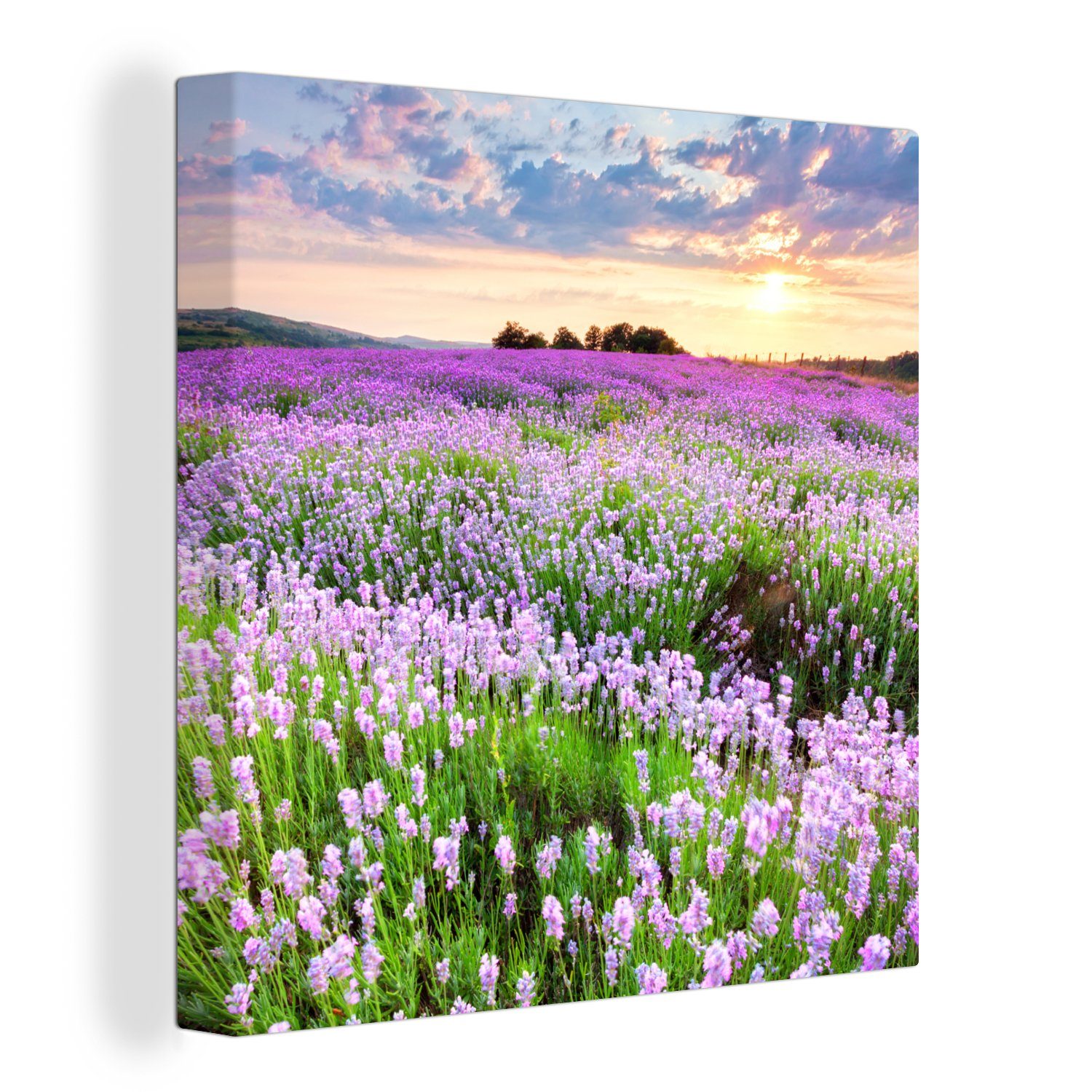 OneMillionCanvasses® Leinwandbild Blumen - Lavendel - Lila - Himmel - Sonnenuntergang - Wiese - Natur, (1 St), Leinwand Bilder für Wohnzimmer Schlafzimmer