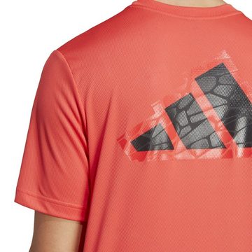 adidas Performance Trainingsshirt Herren Trainingsshirt WORKOUT BASE LOGO T (1-tlg)