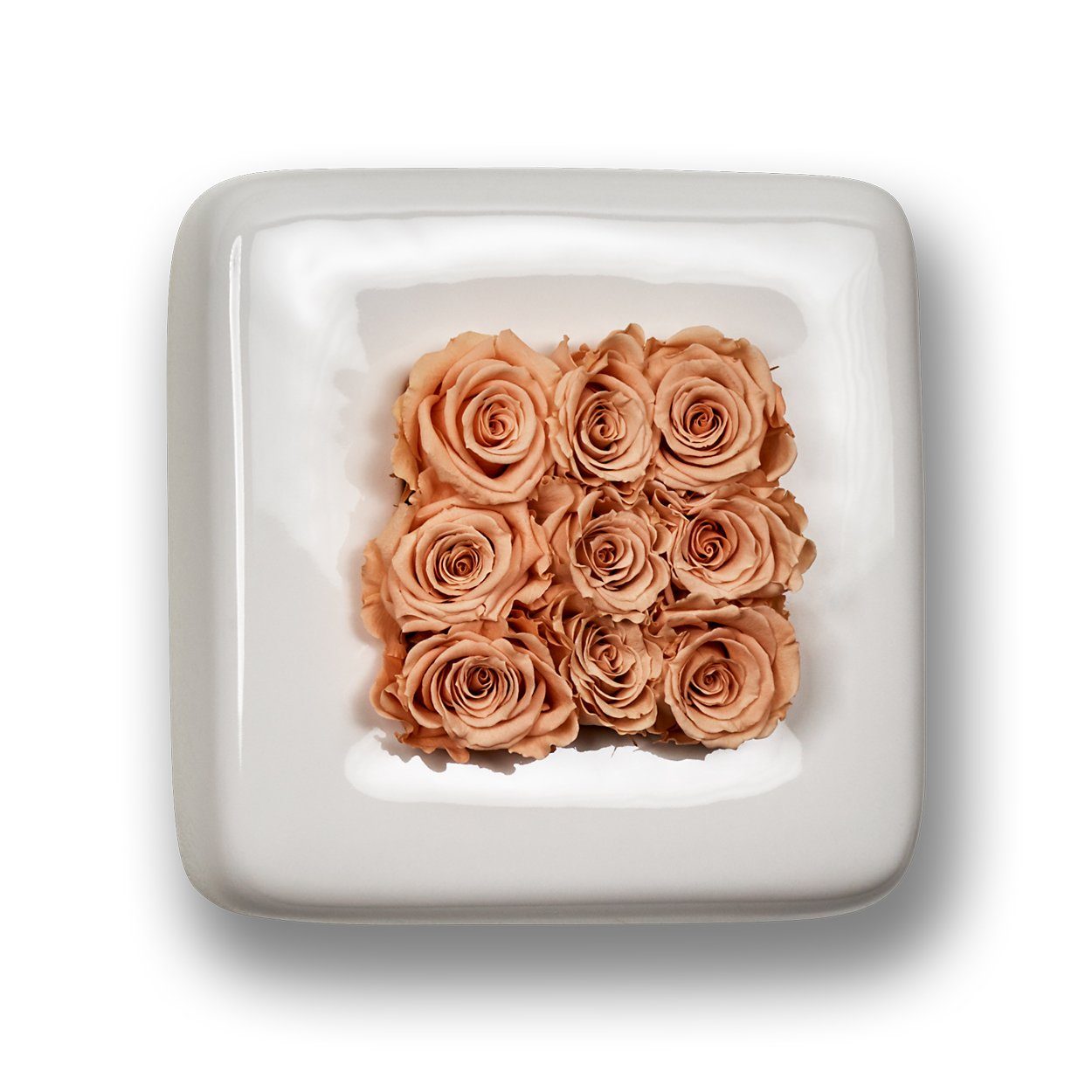 Rosen Wanddekoobjekt Flowerbox in Infinity-Bloom Keramik