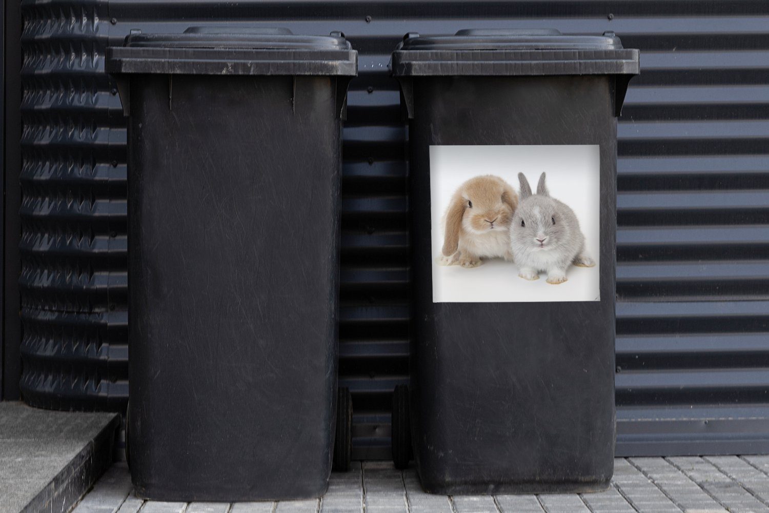 Mülltonne, Weiß MuchoWow Wandsticker Fell Container, - Abfalbehälter Sticker, Kaninchen - (1 Mülleimer-aufkleber, St),