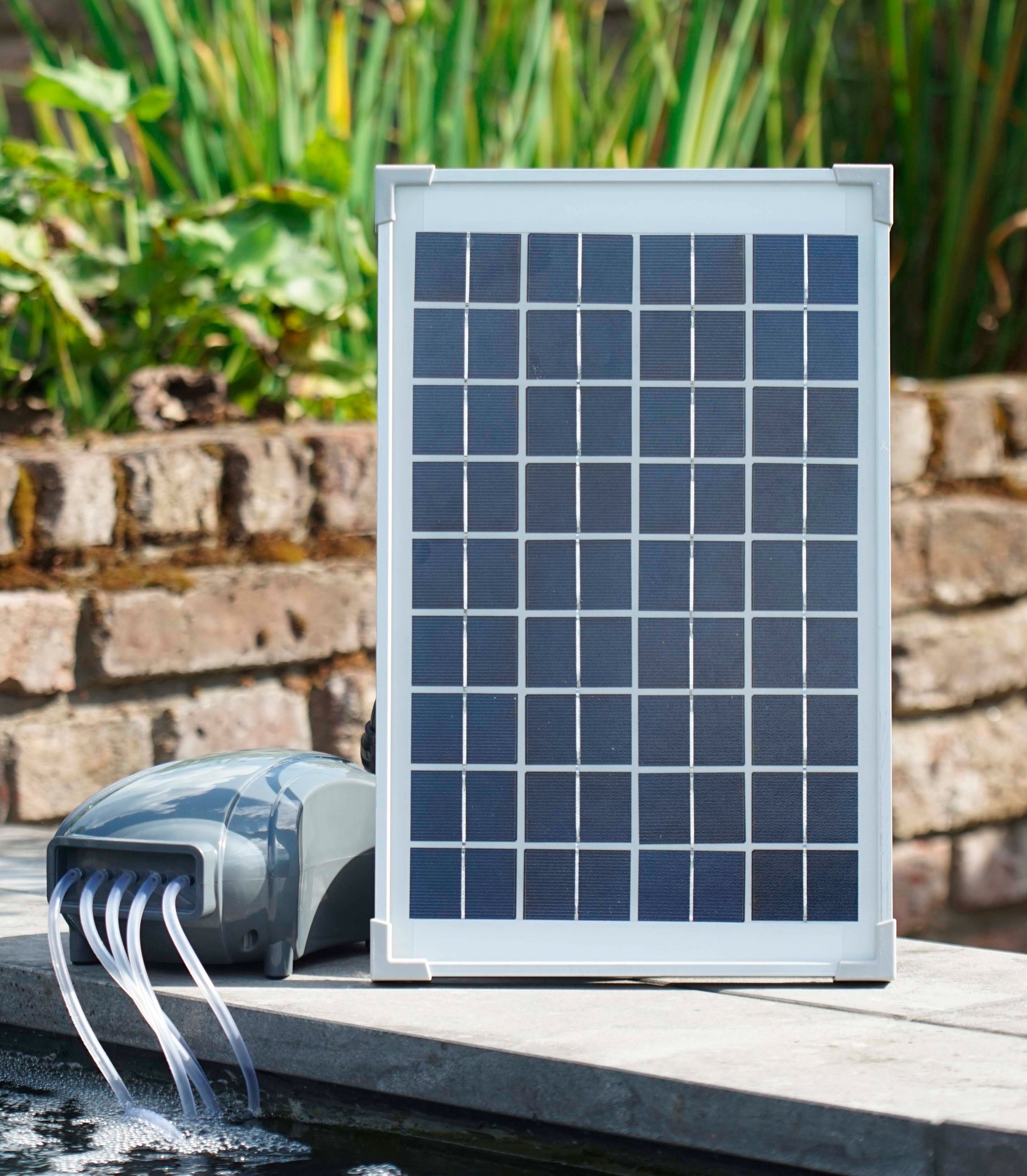 Ubbink Teichbelüfter Air Solar 600, 600 günstig online kaufen