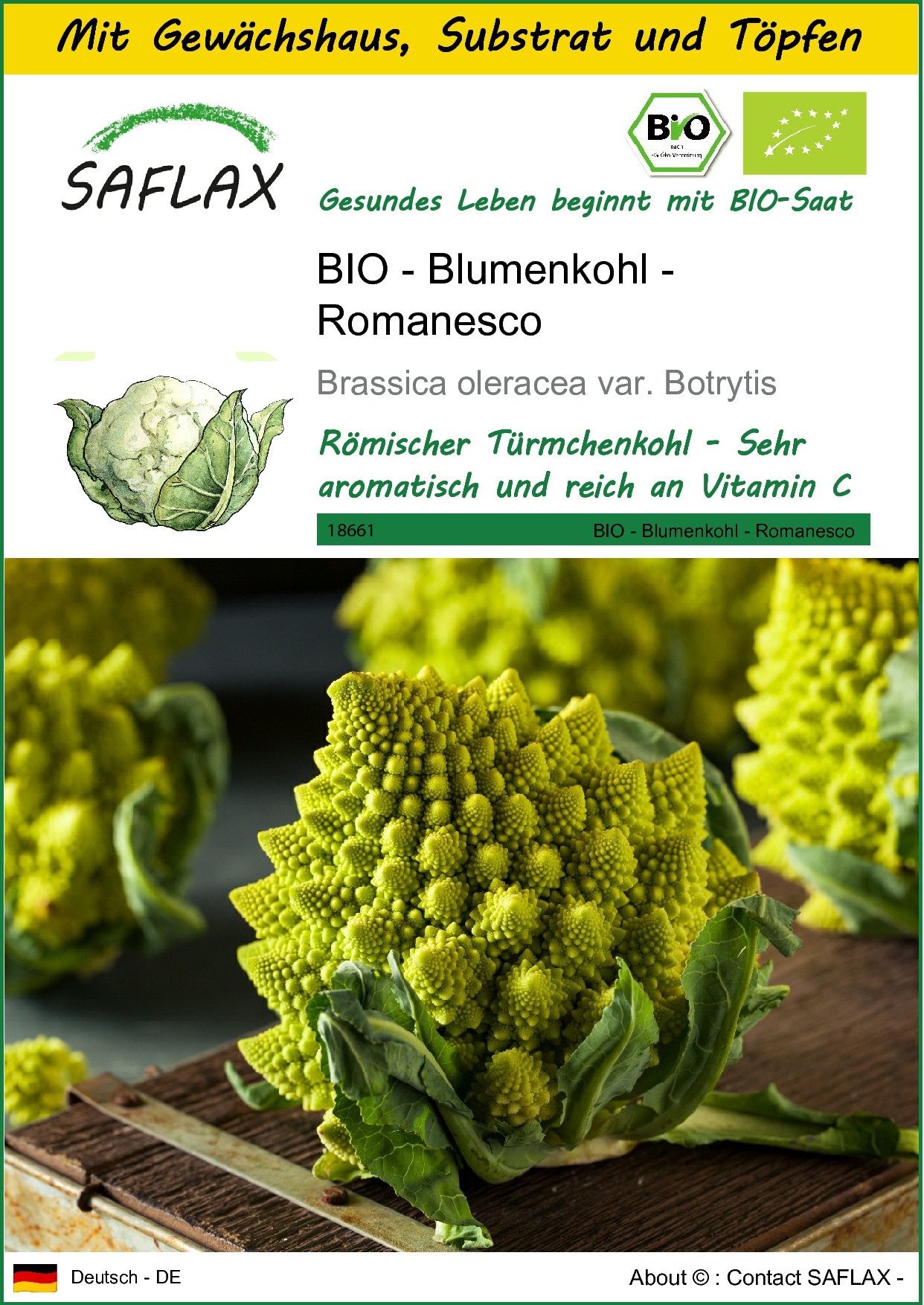 Gemüsesamen SAFLAX - Anzuchtset - BIO - Blumenkohl - Romanesco