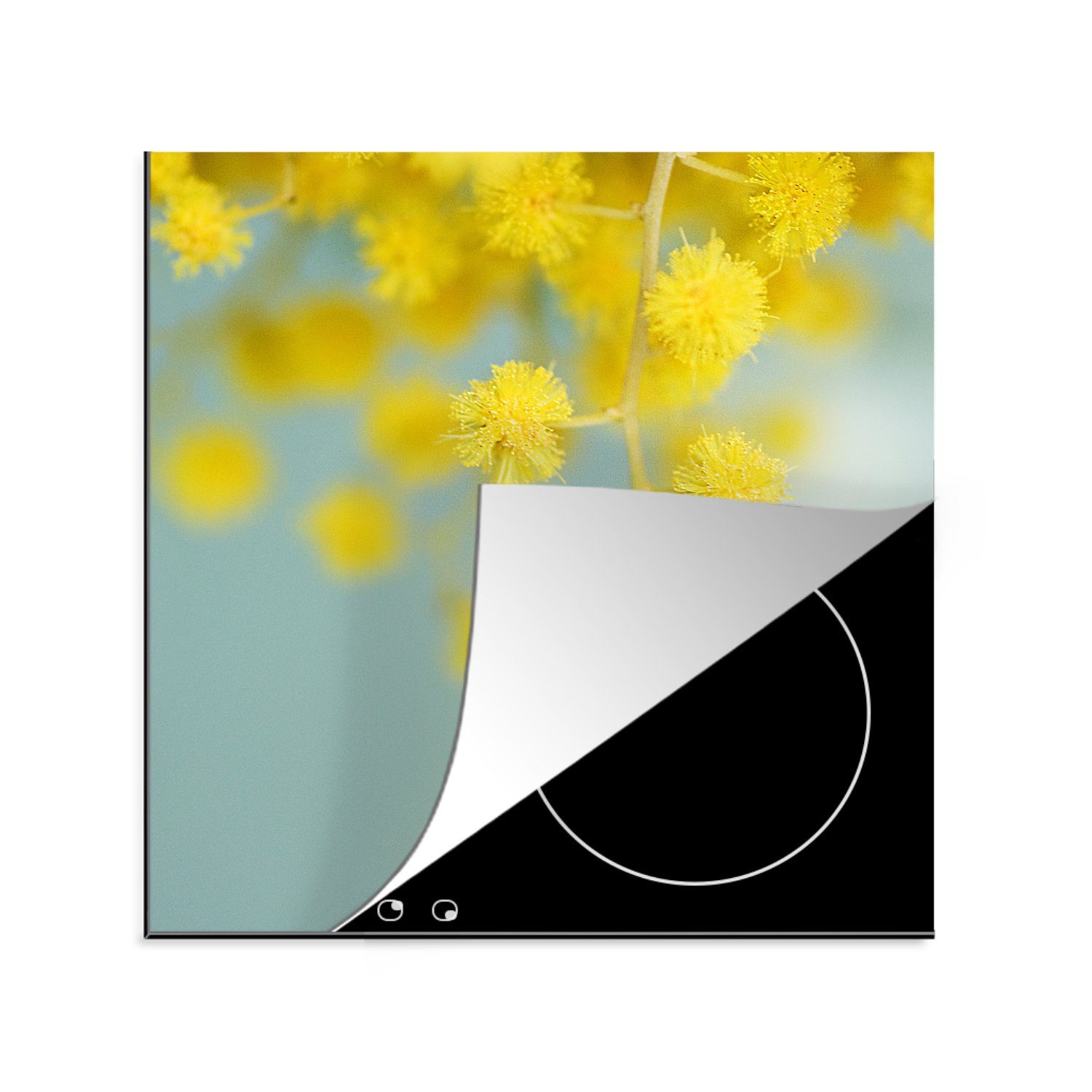 MuchoWow Herdblende-/Abdeckplatte Eine cm, gelbe Hintergrund, für Ceranfeldabdeckung, mit hellblauem küche tlg), Vinyl, Mimosenpflanze 78x78 Arbeitsplatte (1