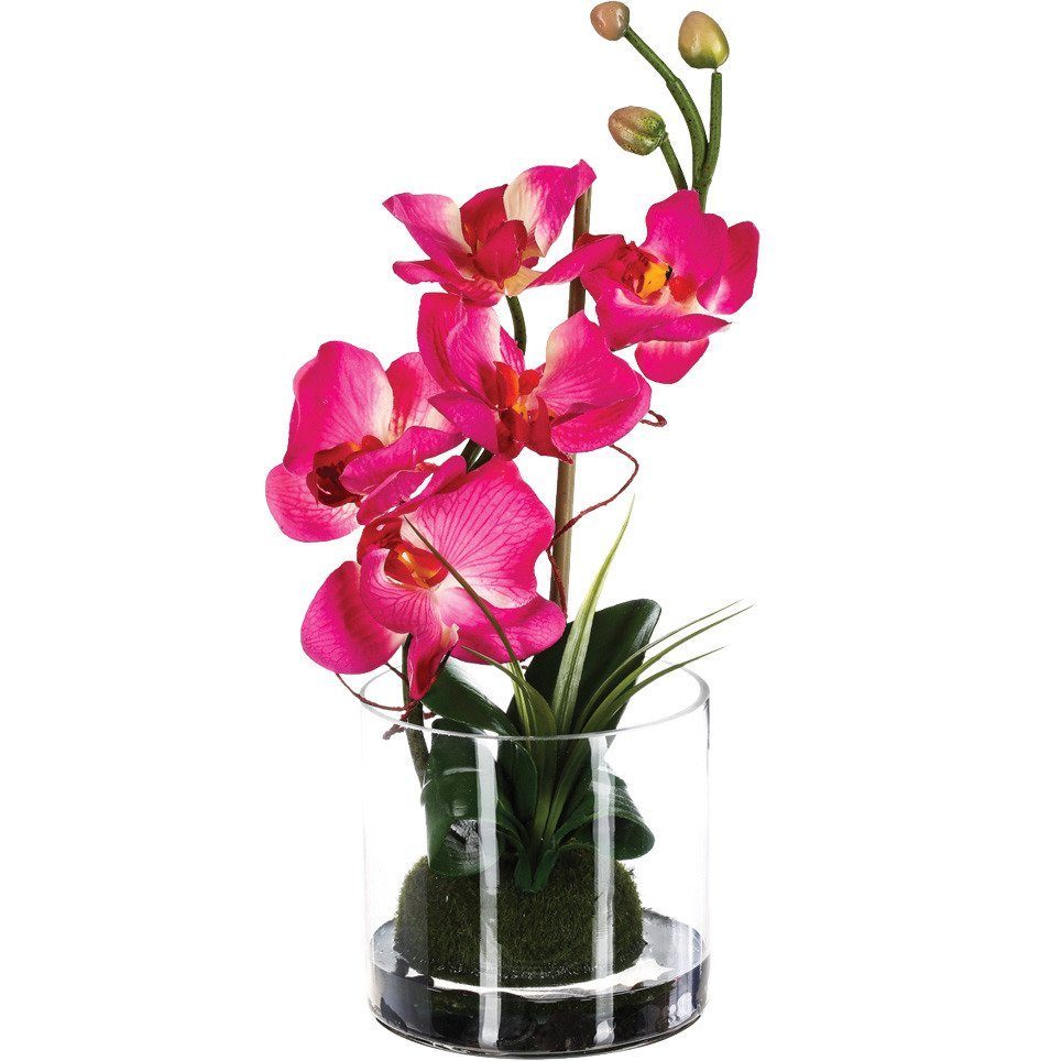 Kunstpflanze Zimmerpflanze, Atmosphera Créateur d'intérieur, Höhe günstig online kaufen