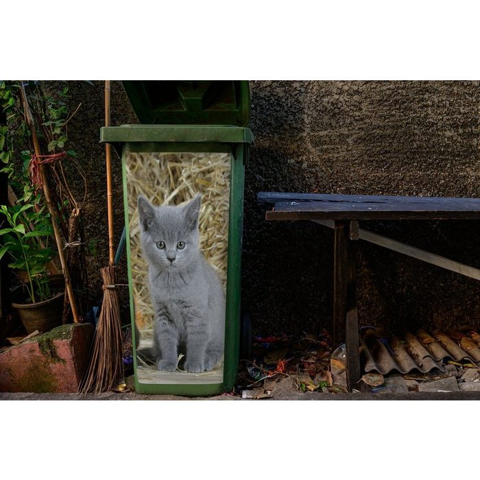 MuchoWow Wandsticker Zwei Britisch-Kurzhaar-Kätzchen mit Heu im Hintergrund (1 St) Mülleimer-aufkleber Mülltonne Sticker Container Abfalbehälter