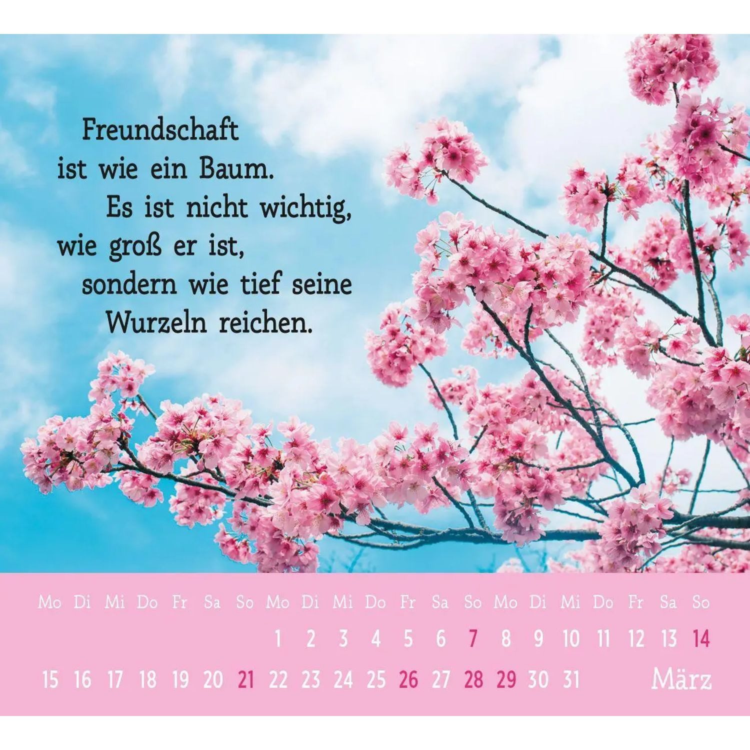 groh Verlag Monatskalender Mini-Kalender 2027: Der kleine Freundschaftskalender