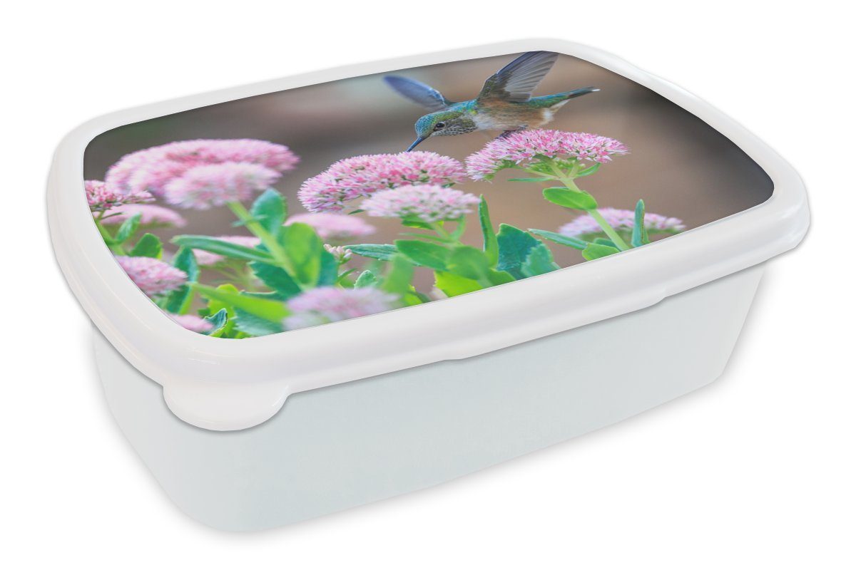 MuchoWow Lunchbox Blumen - Vogel - Kolibri, Kunststoff, (2-tlg), Brotbox für Kinder und Erwachsene, Brotdose, für Jungs und Mädchen weiß