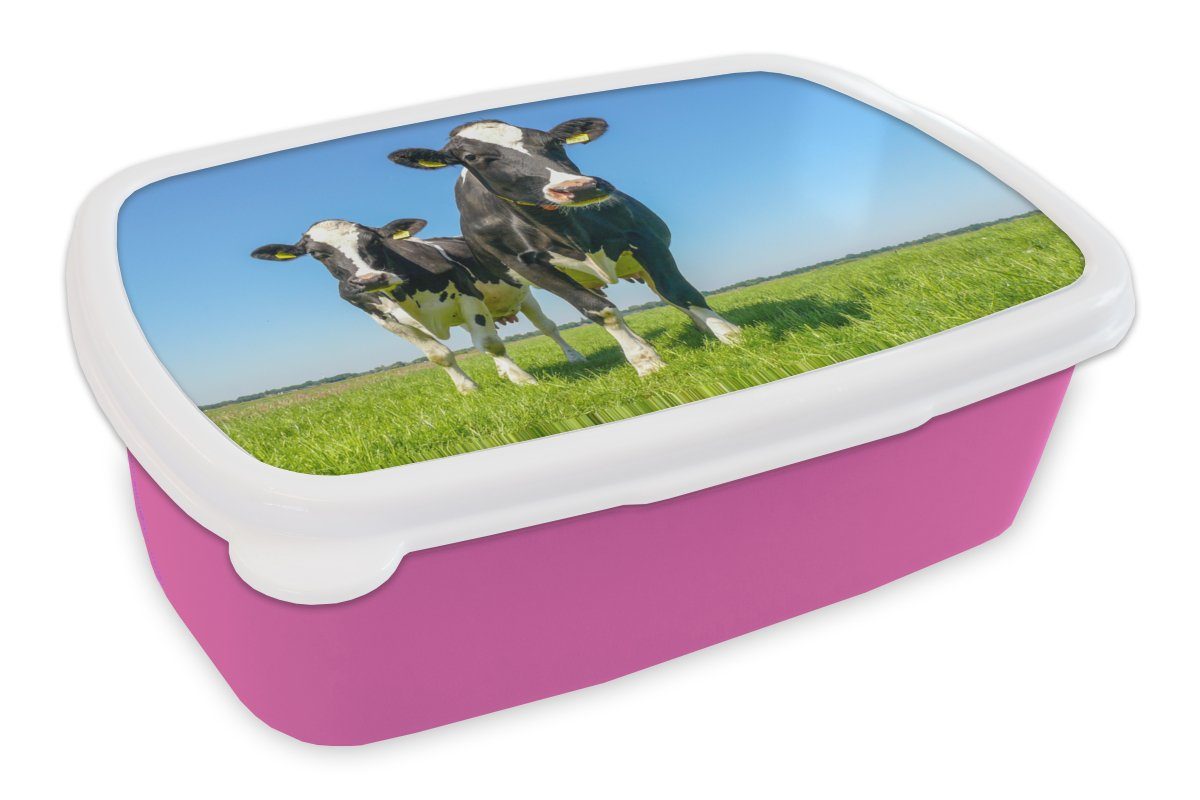 Kühe rosa Mädchen, - Brotbox Brotdose Kinder, Tiere Erwachsene, - Snackbox, Weide - Kunststoff MuchoWow Bauernhof, für Kunststoff, (2-tlg), Lunchbox