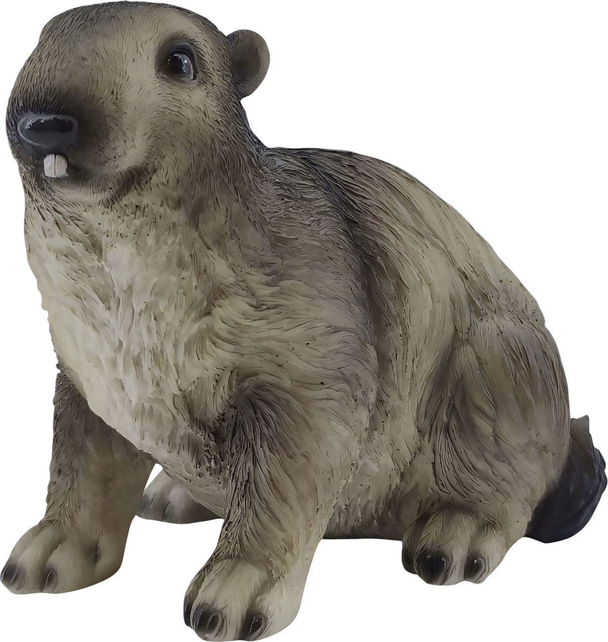 Figurendiscounter Gartenfigur Dekofigur Murmeltier 22 cm bunt