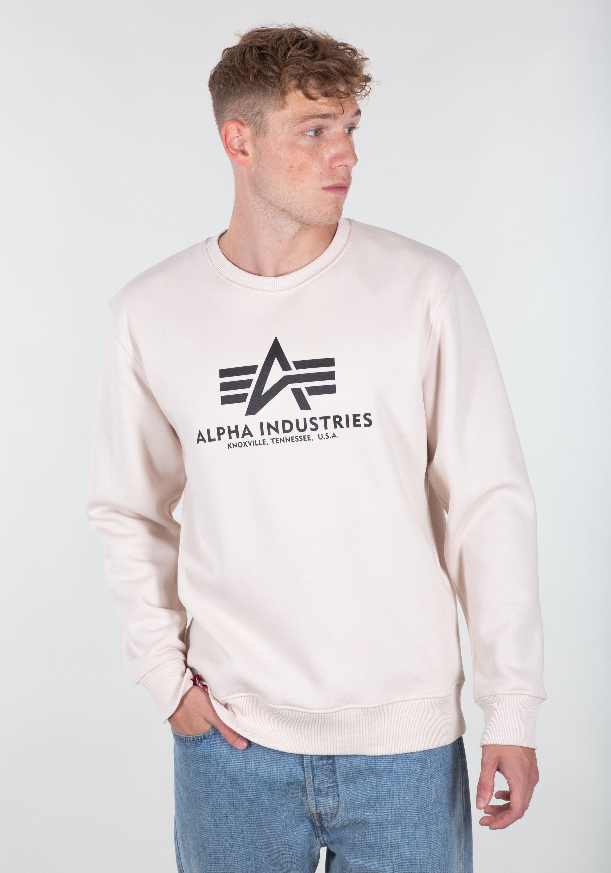 Sweater Sweater Alpha Industries Basic stream jet - Men white Sweatshirts Industries Alpha