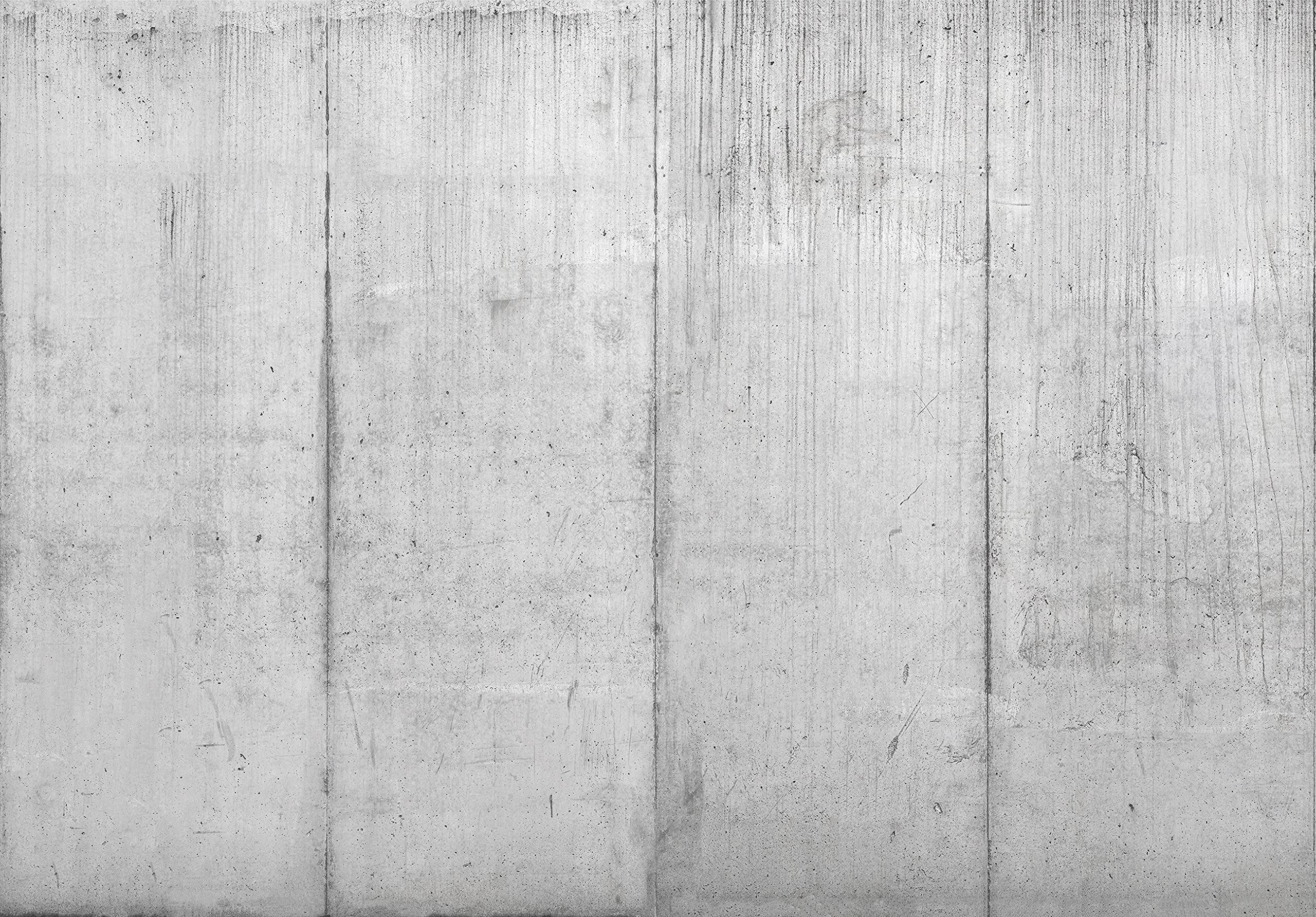 Wallarena Fototapete Nebelwald mit Betonwand in Grau für das Wohnzimmer, glatt, Betonoptik, Motivtapete mit senkrechten Fugen trocken abwischbar 152,5x104cm