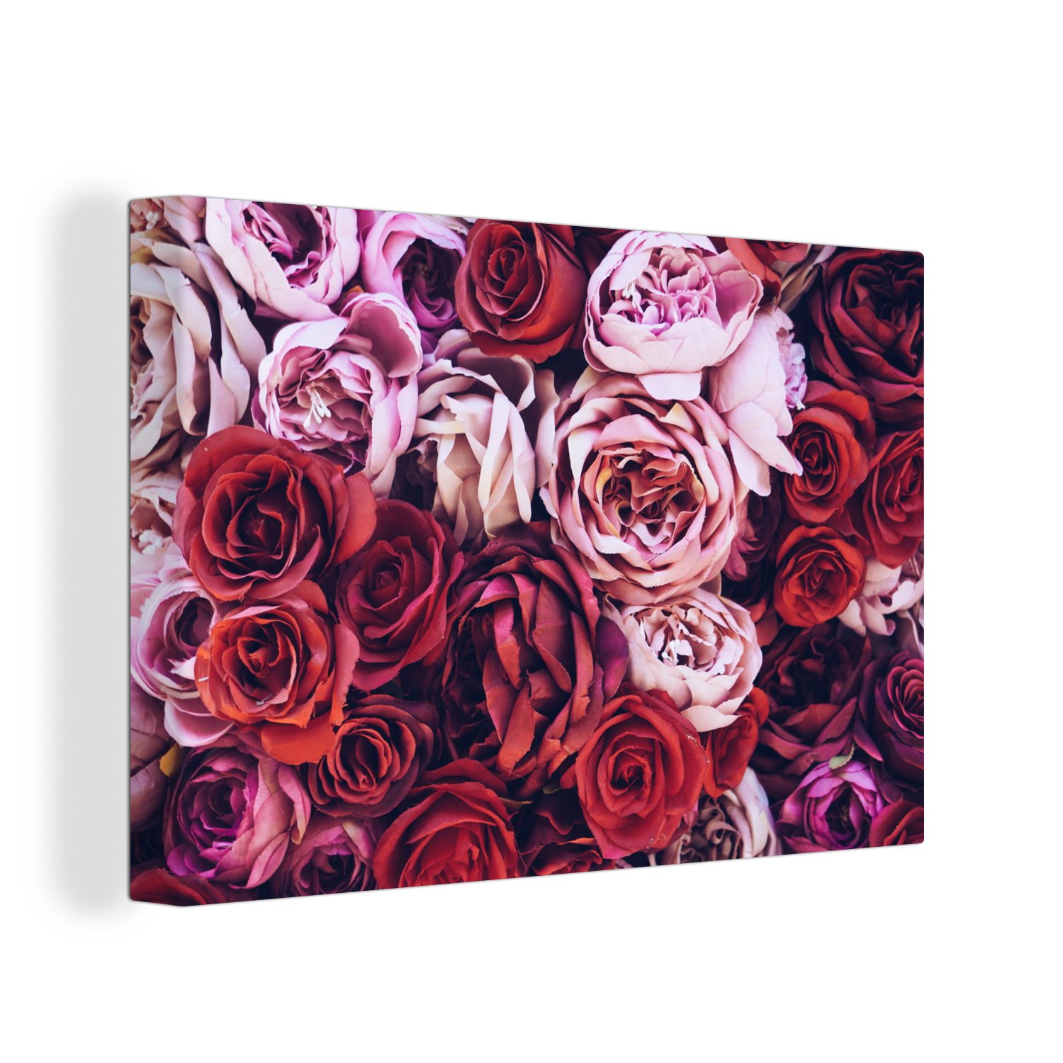 OneMillionCanvasses® Leinwandbild Rosen - Rot - günstig online kaufen