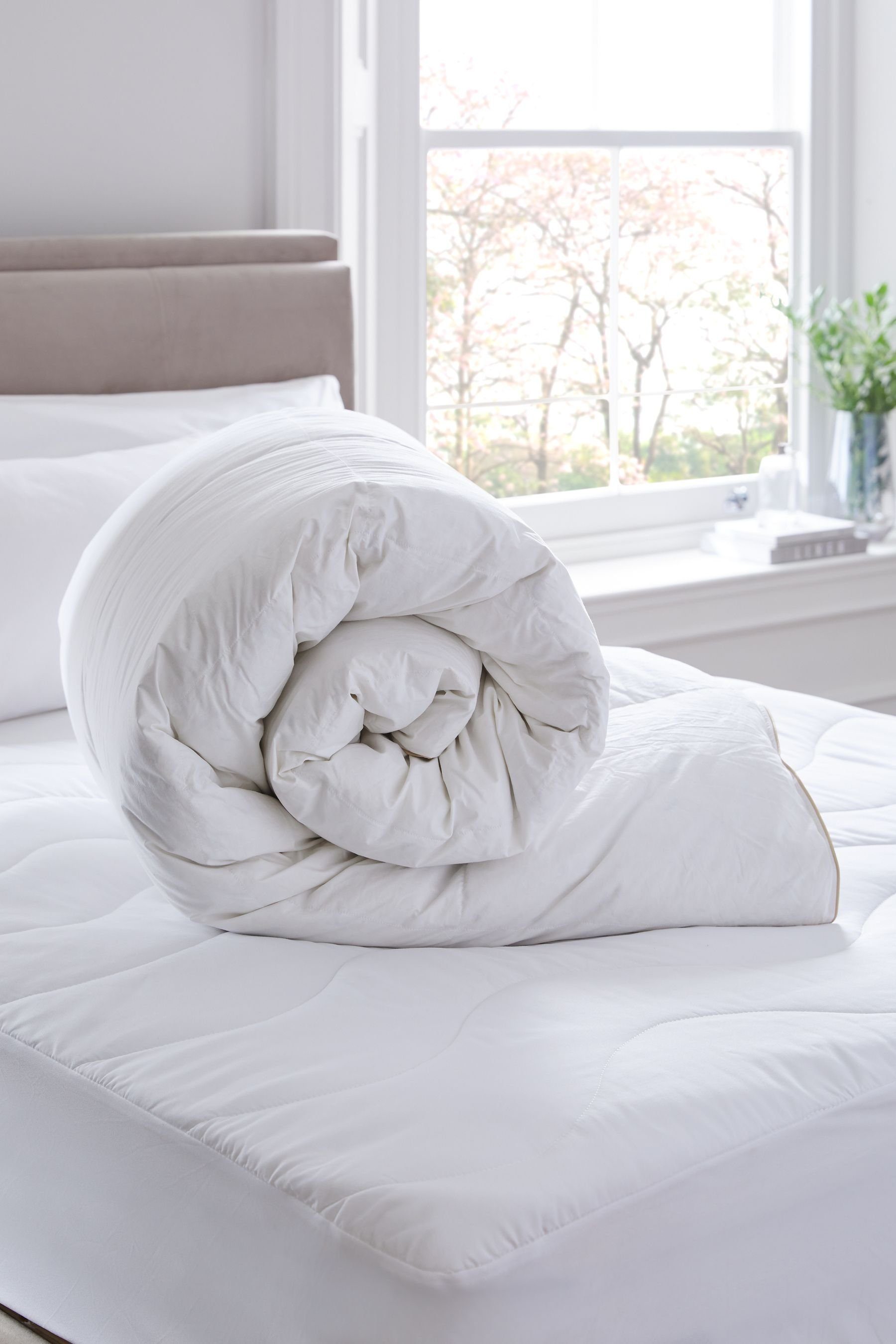 Next Federbettdecke 15 Tog Bettdecke aus Gänsefedern und Daunen, Füllung: Obermaterial: 100 % Baumwolle. Füllung: 90 % Gänsefedern*, 10 % Gänsedaunen* * Enthält nicht-textile Elemente tierischen Ursprungs.
