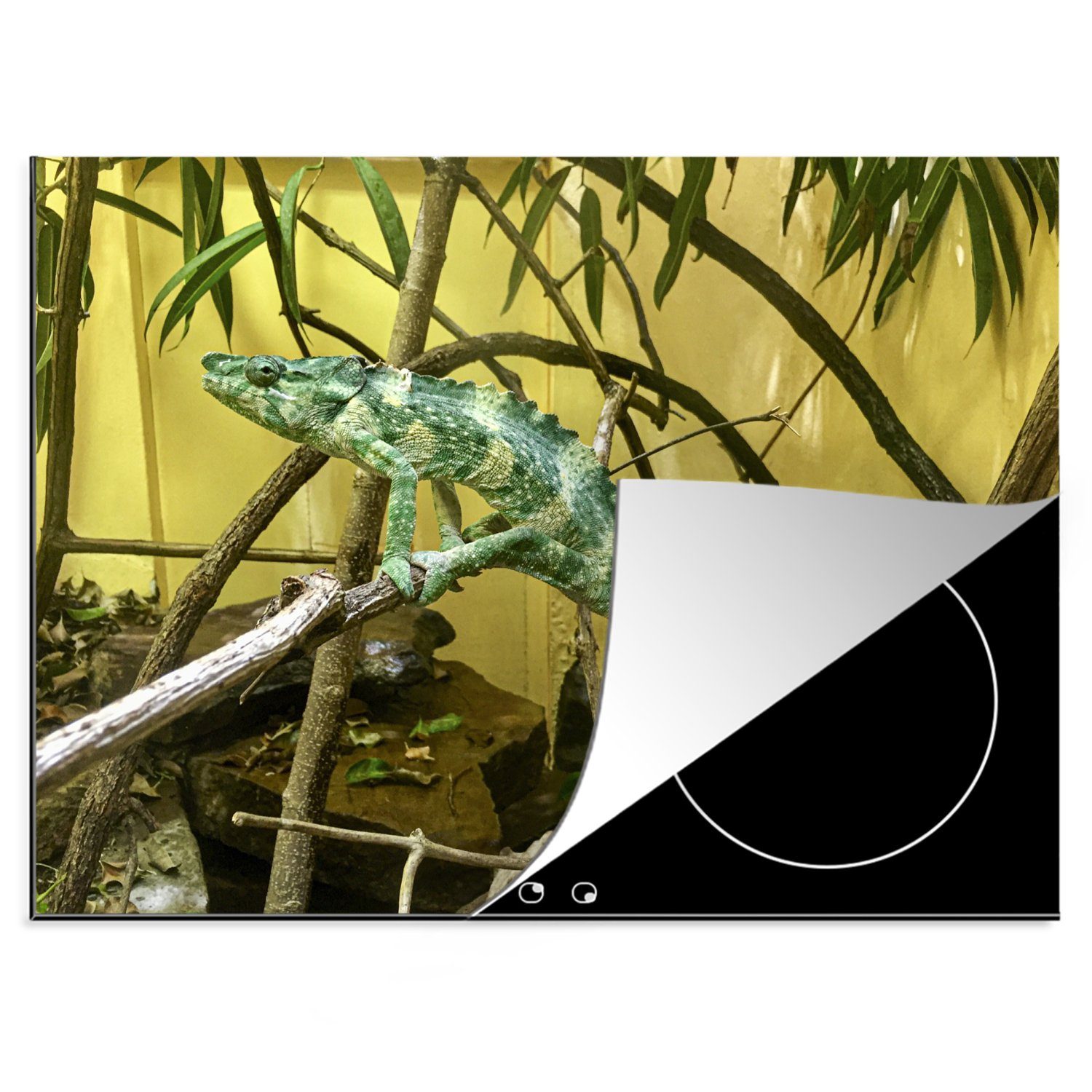70x52 cm, Vinyl, Ceranfeldabdeckung Reptil MuchoWow tlg), - Arbeitsfläche Mobile nutzbar, Zweig (1 Herdblende-/Abdeckplatte - Pflanze,
