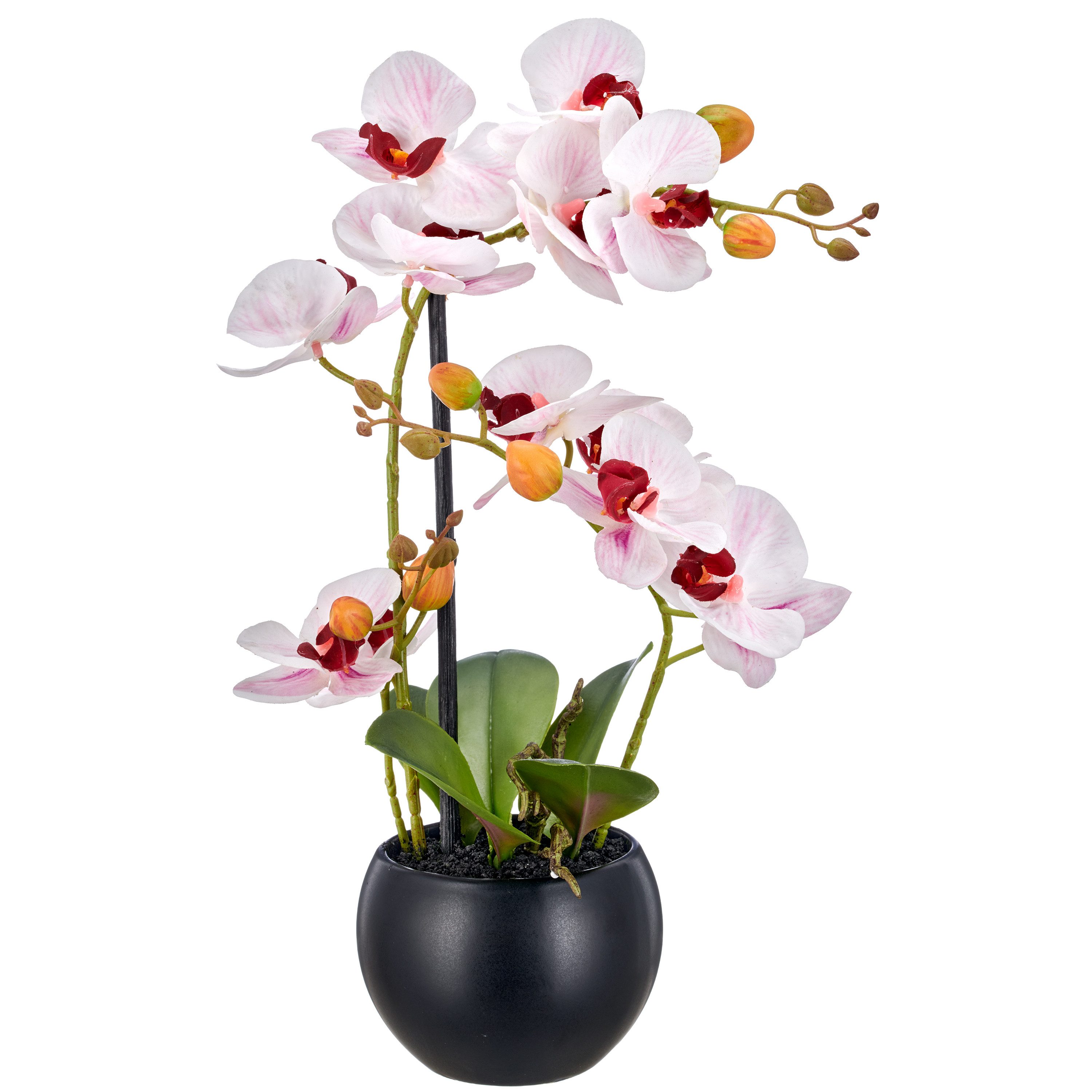 Kunstorchidee Ernestine Orchidee, OTTO home, Höhe 42 cm, Kunstpflanze, im schwarzen oder weißen Topf