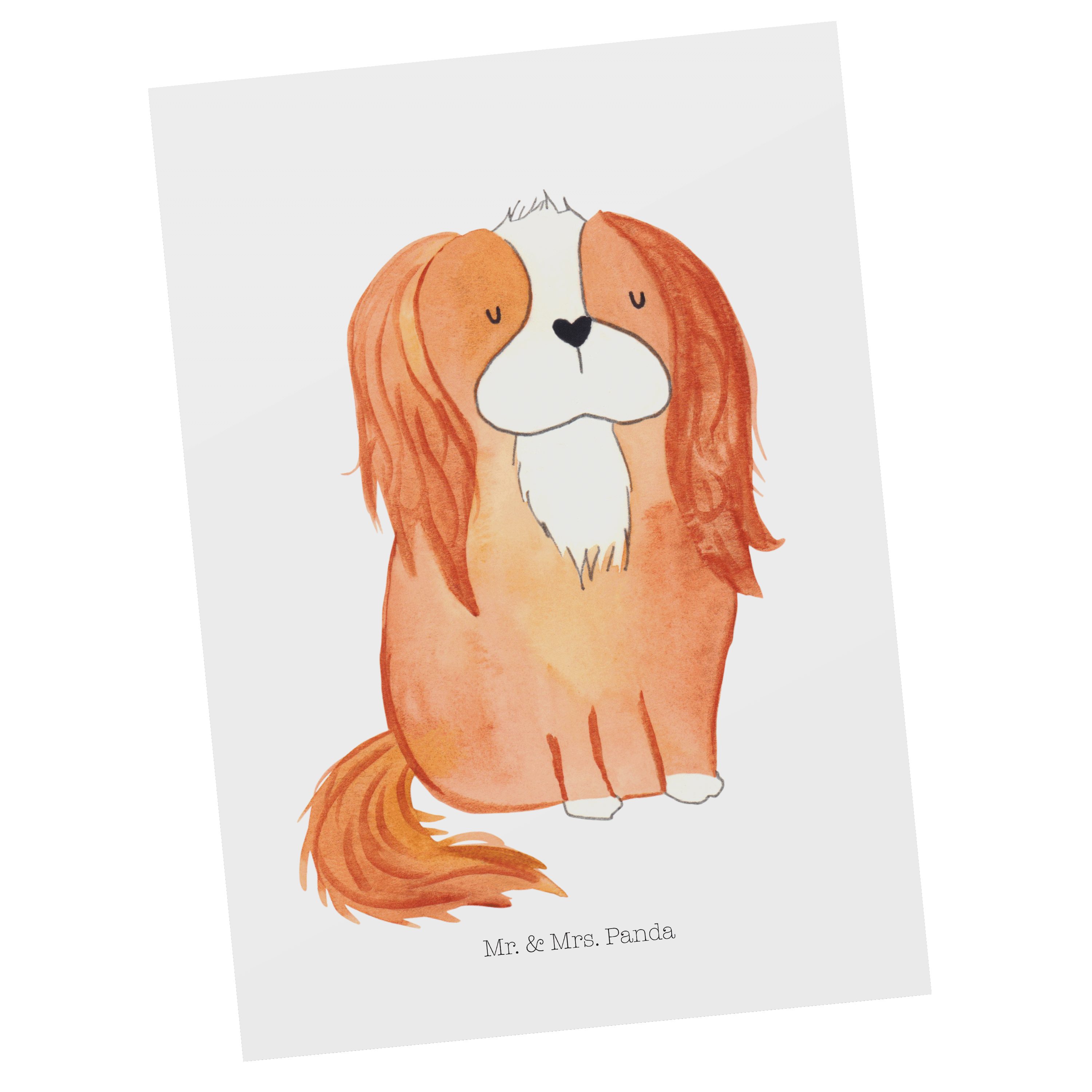 Mr. & Mrs. Panda Postkarte Cavalier King Charles Spaniel - Weiß - Geschenk, schönster Hund, Hund
