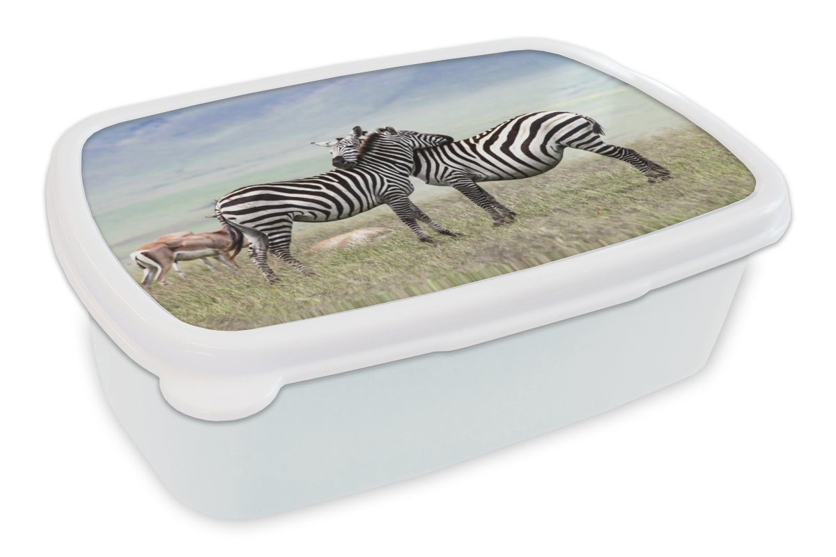 MuchoWow Lunchbox Zebras - Gras - Schwarz - Weiß, Kunststoff, (2-tlg), Brotbox für Kinder und Erwachsene, Brotdose, für Jungs und Mädchen