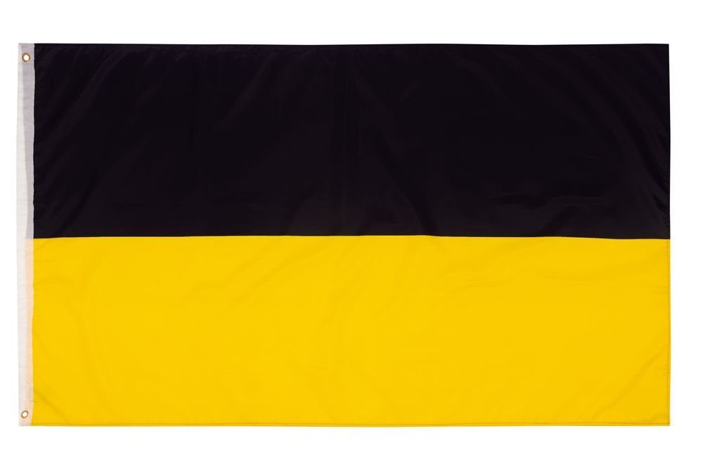 PHENO FLAGS Flagge Baden Württemberg Flagge 90 x 150 cm Fahne Landessiegel Bundesland (Hissflagge für Fahnenmast), Inkl. 2 Messing Ösen