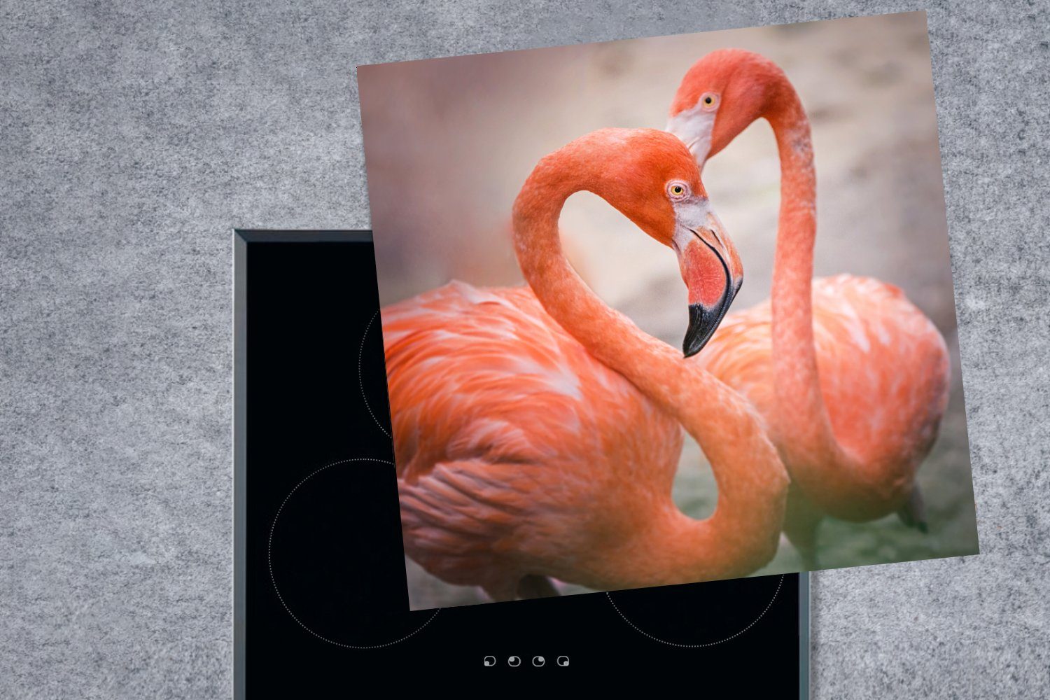 bilden mit Hälsen Vinyl, (1 Herdblende-/Abdeckplatte ihren 78x78 Herz, tlg), ein Ceranfeldabdeckung, cm, Flamingos küche Arbeitsplatte MuchoWow für