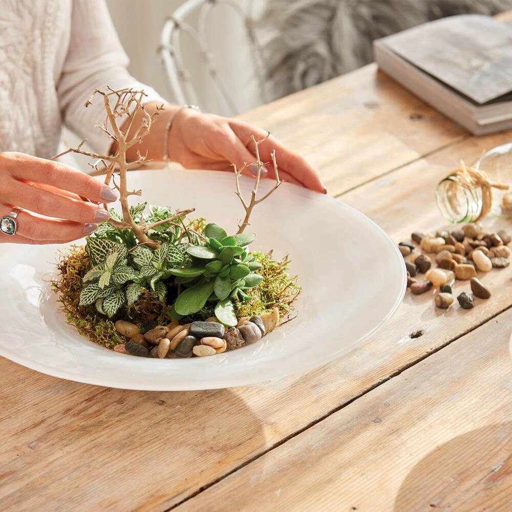 LEONARDO Dekoschale ALABASTRO Beige 35.4 cm