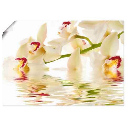 Artland Wandbild Weiße Orchidee mit Wasserreflektion, Blumen (1 St), als Leinwandbild, Poster in verschied. Größen