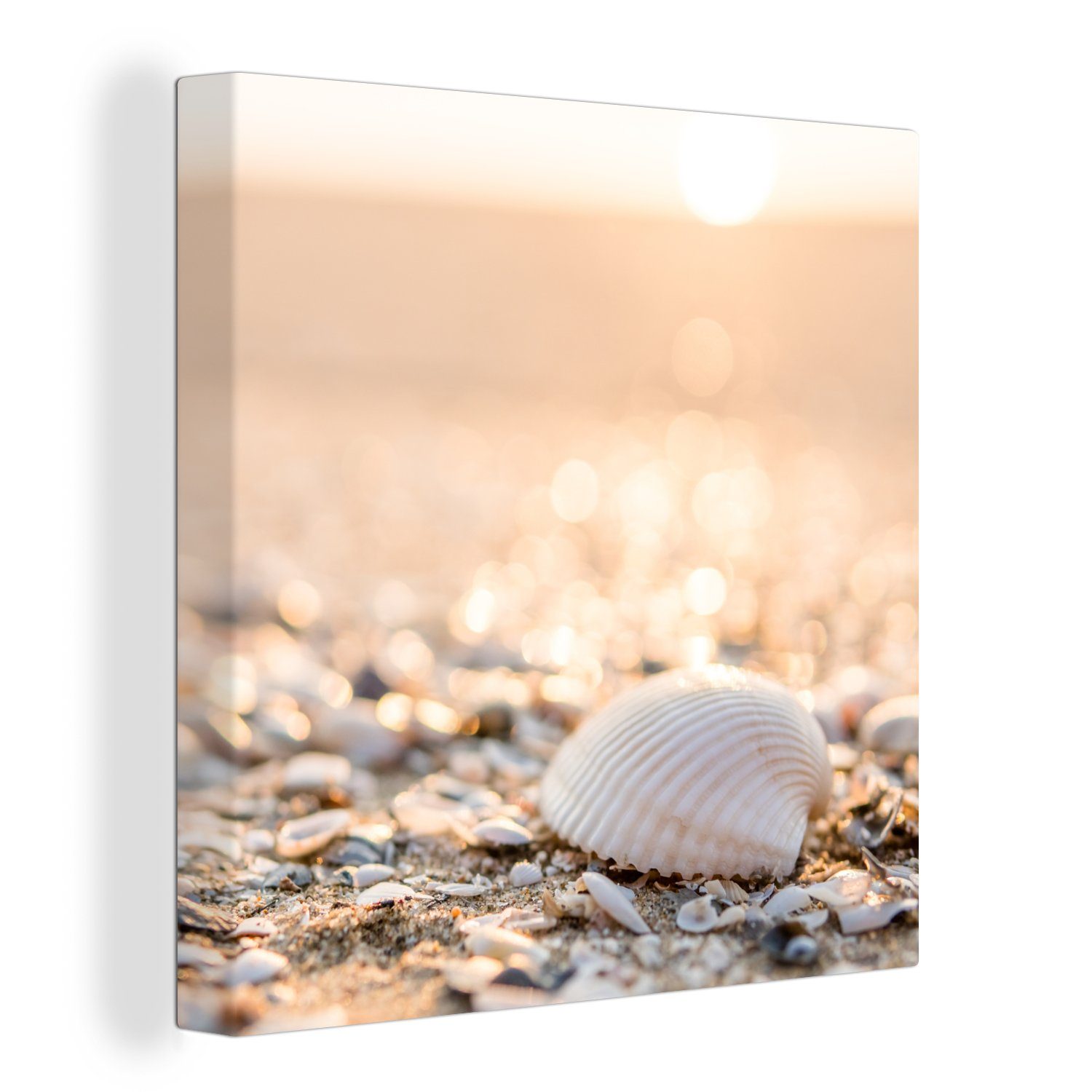 OneMillionCanvasses® Leinwandbild Muscheln - Weiß - Strand - Sommer, Fotodr günstig online kaufen