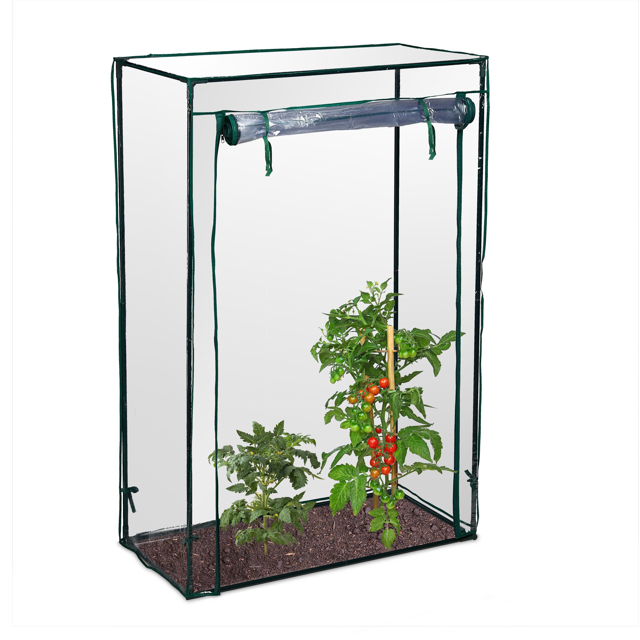 relaxdays Tomatengewächshaus für Garten und Balkon, BxTxH: 100 x 50 x 150 cm, BxLxH: 100 x 50 x 150 cm, 1-St., PVC