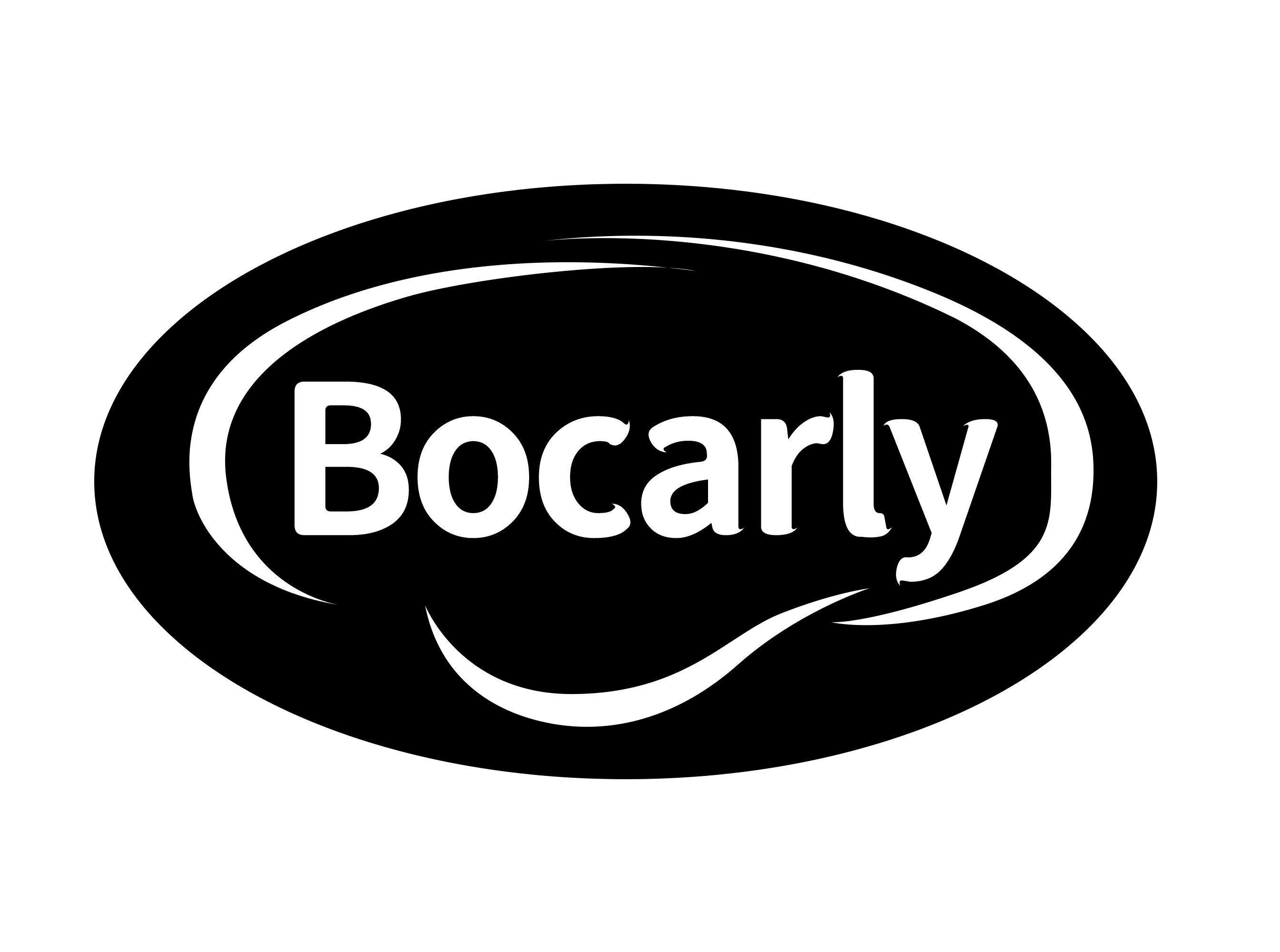 Bocarly