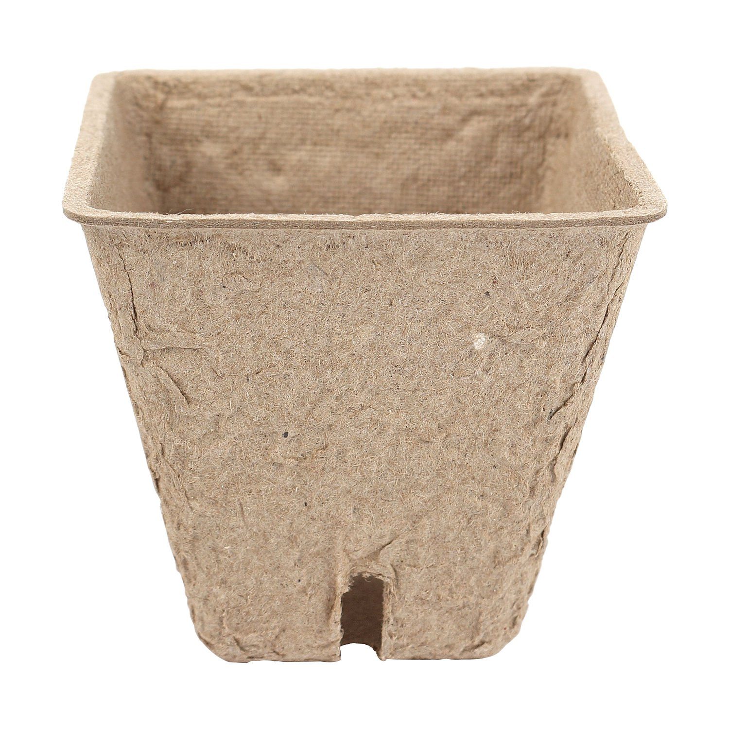 Schramm Kräutertopf Schramm® Anzuchttöpfe 20, 60 günstig online kaufen