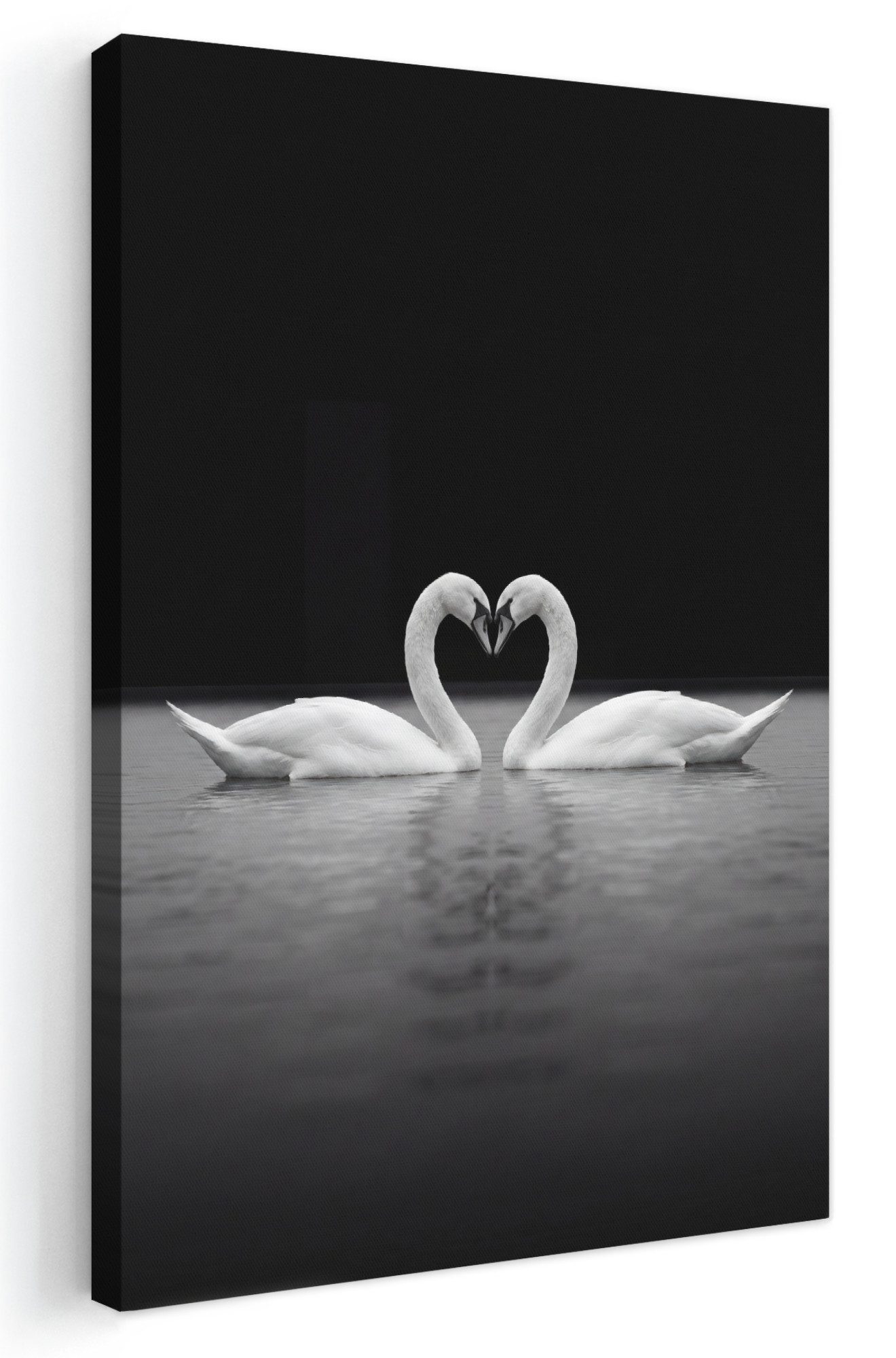 OneMillionCanvasses® Leinwandbild Schwäne - Herz - Schwarz - Weiß, Fotodruck (1 St), Leinwand Canvas Wandbild, Wanddekoration 20x30 cm