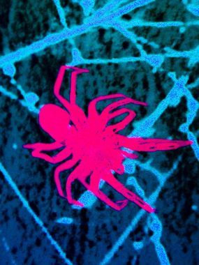 Wandteppich Schwarzlicht Segel Spandex "Holes Neon Halloween Spiderweb", 1,0x1,75m, PSYWORK, UV-aktiv, leuchtet unter Schwarzlicht