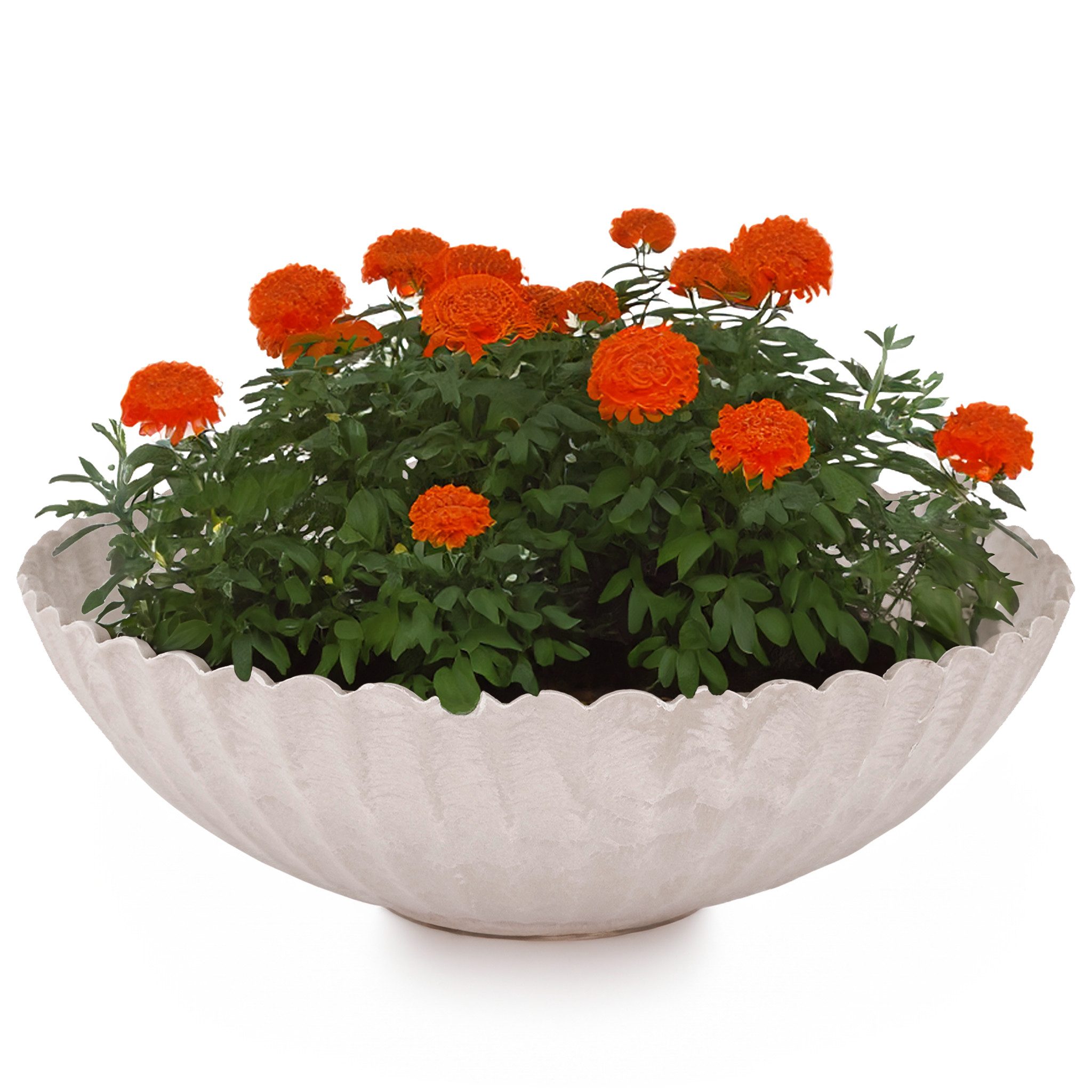 matches21 HOME & HOBBY Blumentopf Runde günstig online kaufen