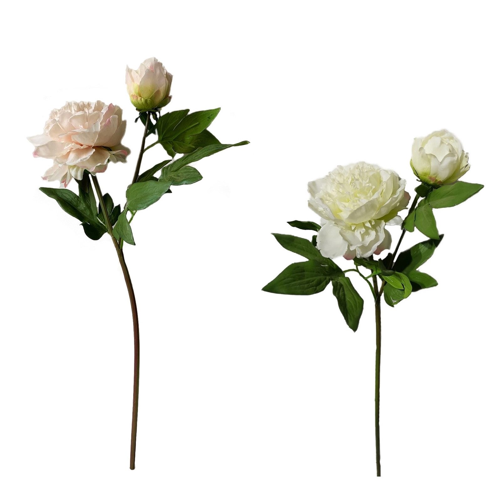 Kunstblume Pfingstrosen 2er Set Flora Weiß/Rosa