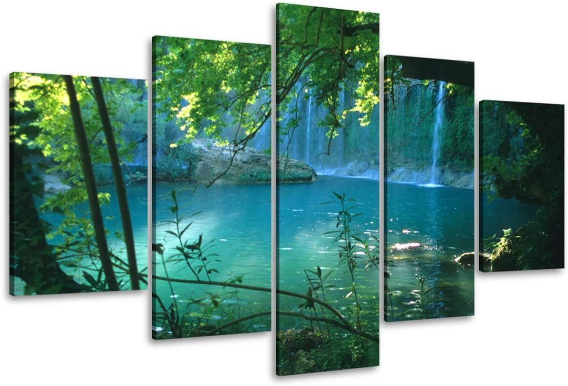 Visario Bild, 6408 günstig online kaufen