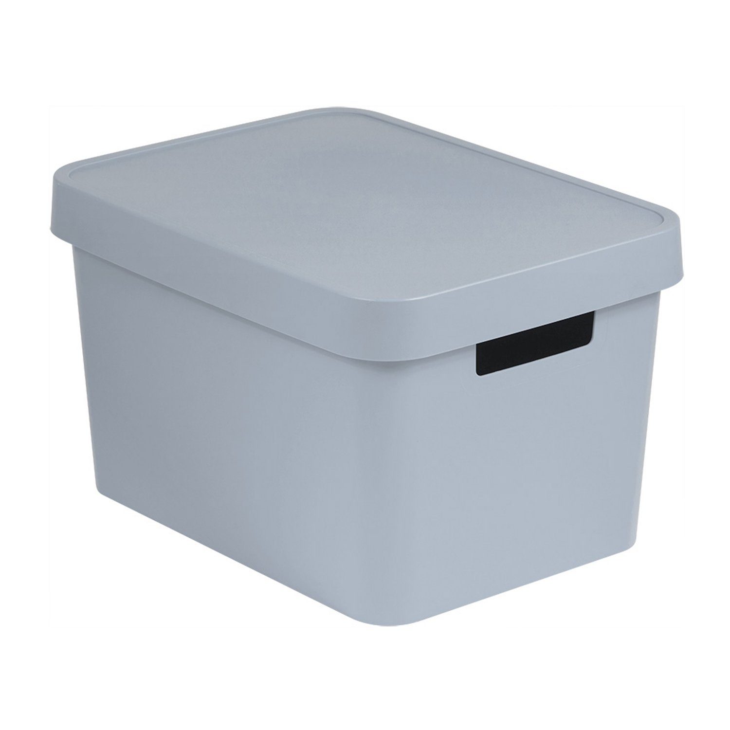 Curver Aufbewahrungsbox, Behälter mit Deckel Infinity günstig online kaufen