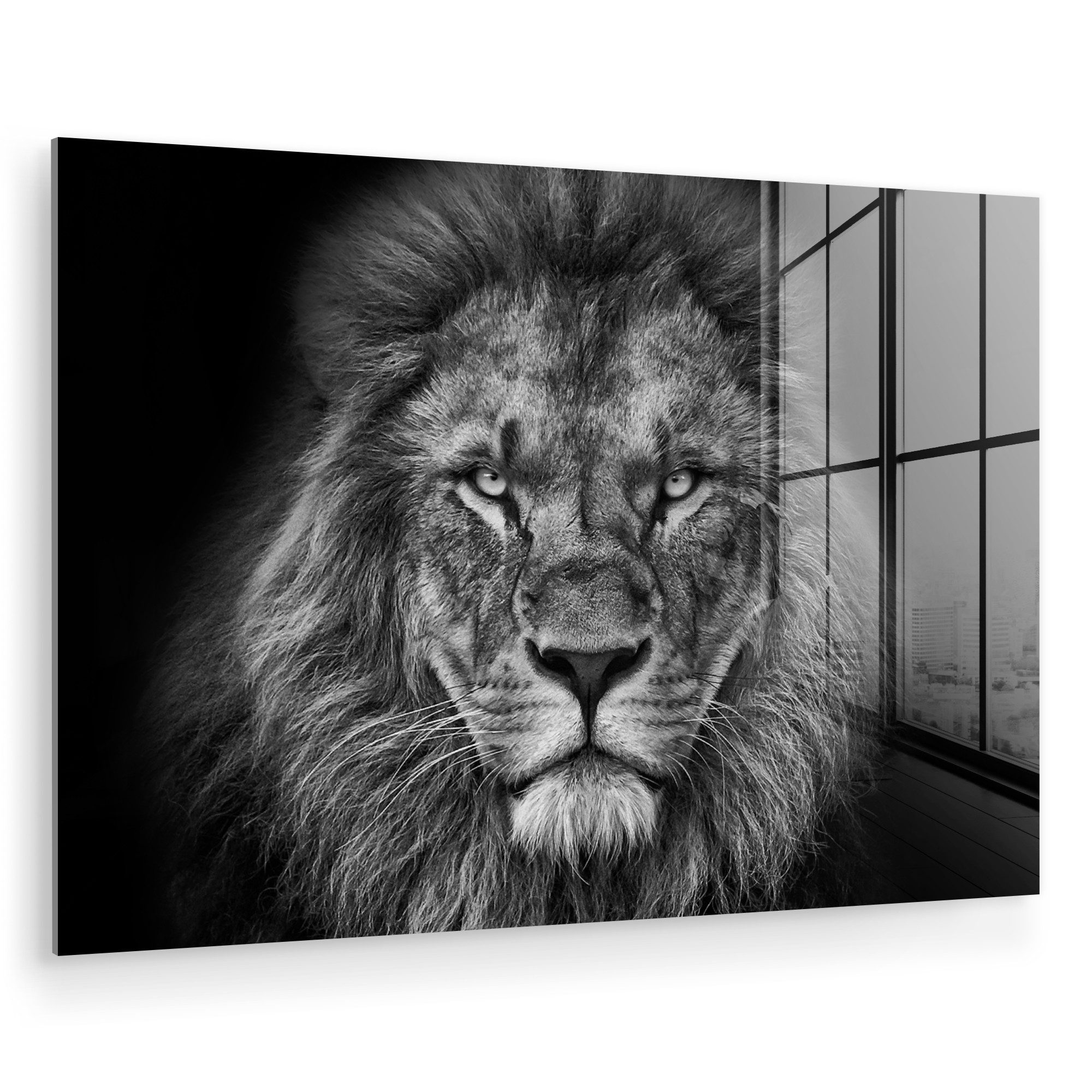 MuchoWow Acrylglasbild Tiere - Löwe - Schwarz - Weiß - Porträt, Inkl. Aufhä günstig online kaufen