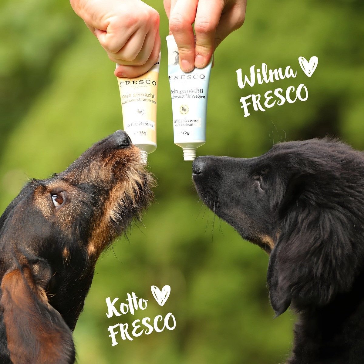 Fresco Fein gemacht! Geflügelcreme für Hunde 75 g, für: Hund