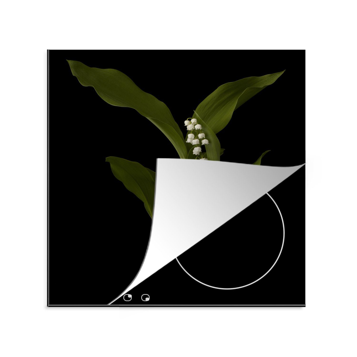 MuchoWow Herdblende-/Abdeckplatte Maiglöckchen mit Blättern auf schwarzem Hintergrund, Vinyl, (1 tlg), 78x78 cm, Ceranfeldabdeckung, Arbeitsplatte für küche