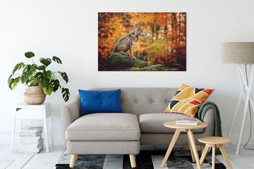 Pixxprint Leinwandbild Wolf sitzt auf einem Stein im Herbstwald, Wolf sitzt auf einem Stein im Herbstwald (1 St), Leinwandbild fertig bespannt, inkl. Zackenaufhänger