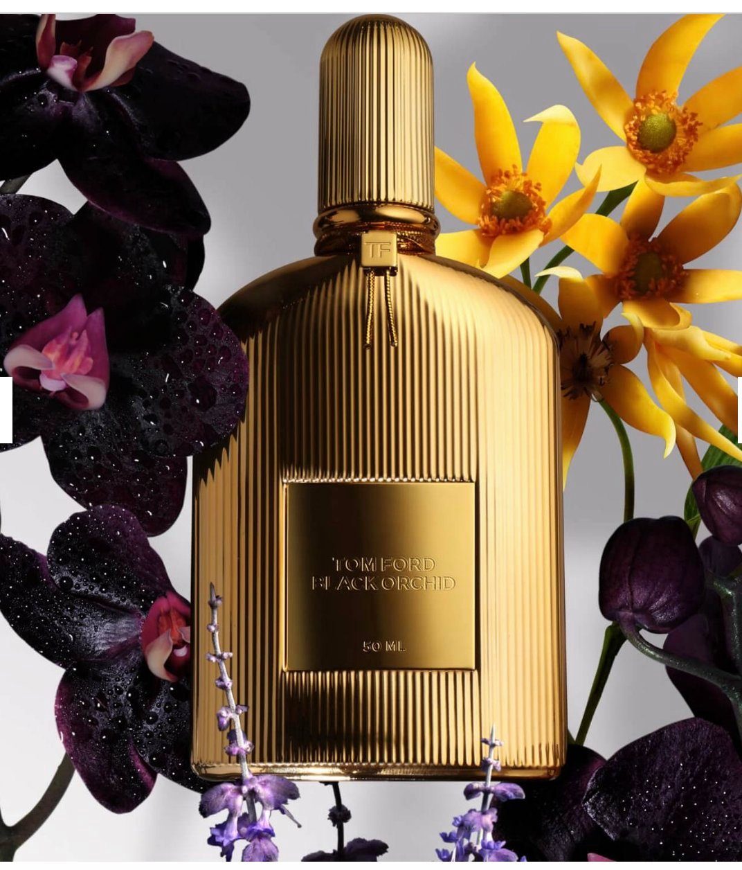 Tom Ford Eau de Parfum de Black Spray Eau Parfum 100ml Parfum Orchid