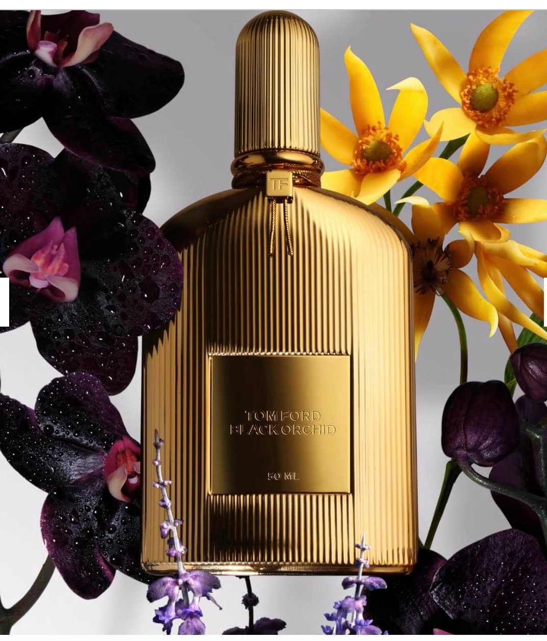 Tom Ford Eau de Parfum Black Orchid Parfum Eau de Parfum Spray 100ml