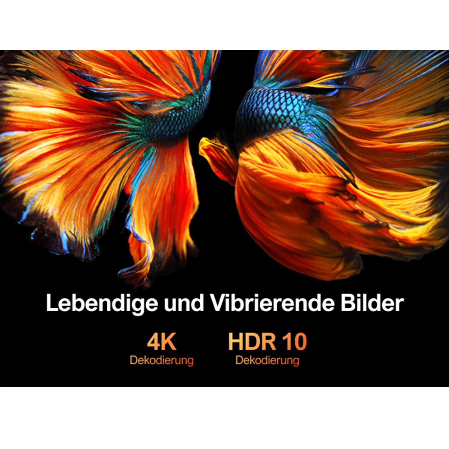 Ultimea Native 1080P Full 1080 Autofokus&6D-Autotrapezkorrektur) x (21000 HD lm, px, HD,4K-Decodierung&HDR10, 15000:1, Beamer Full 1920 schwarz