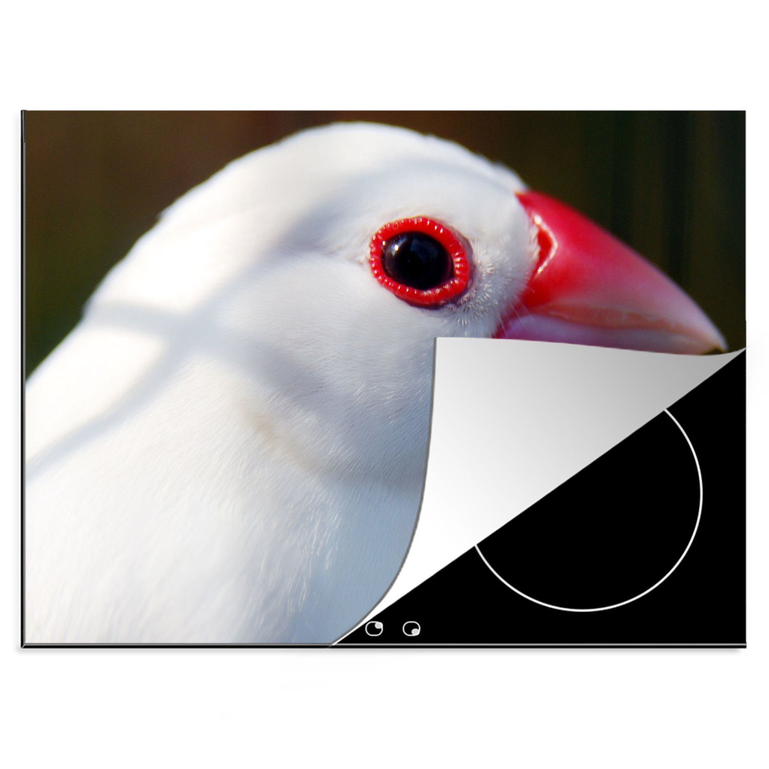 Reisvogels Mobile Vinyl, Arbeitsfläche Ceranfeldabdeckung in (1 eines tlg), Nahaufnahme Korea, 70x52 weißen MuchoWow cm, nutzbar, Herdblende-/Abdeckplatte