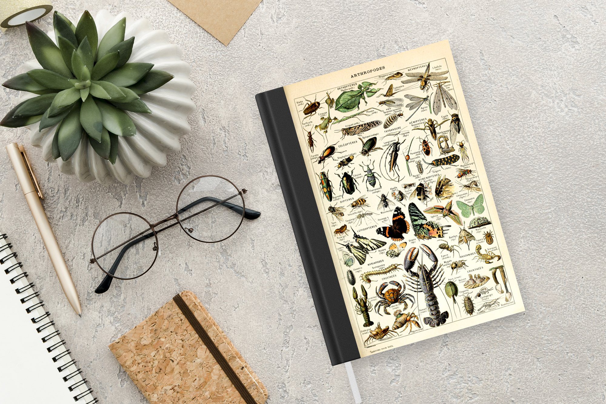 Merkzettel, Tagebuch, A5, Kunst, Adolphe Notizbuch Seiten, Millot 98 Journal, Tiere - - Haushaltsbuch Insekten Notizheft, - - MuchoWow Vintage